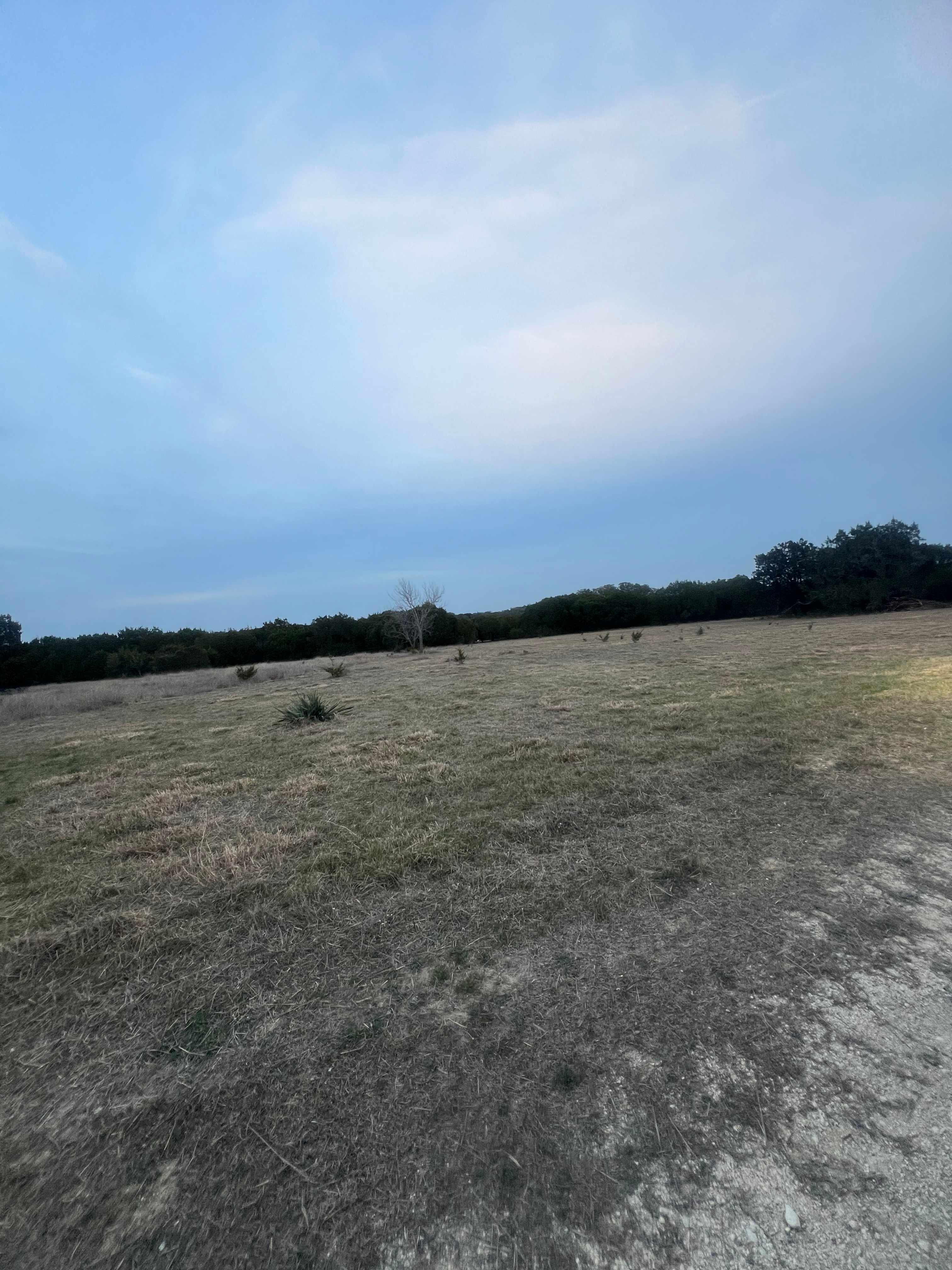 Rosebud Hill
