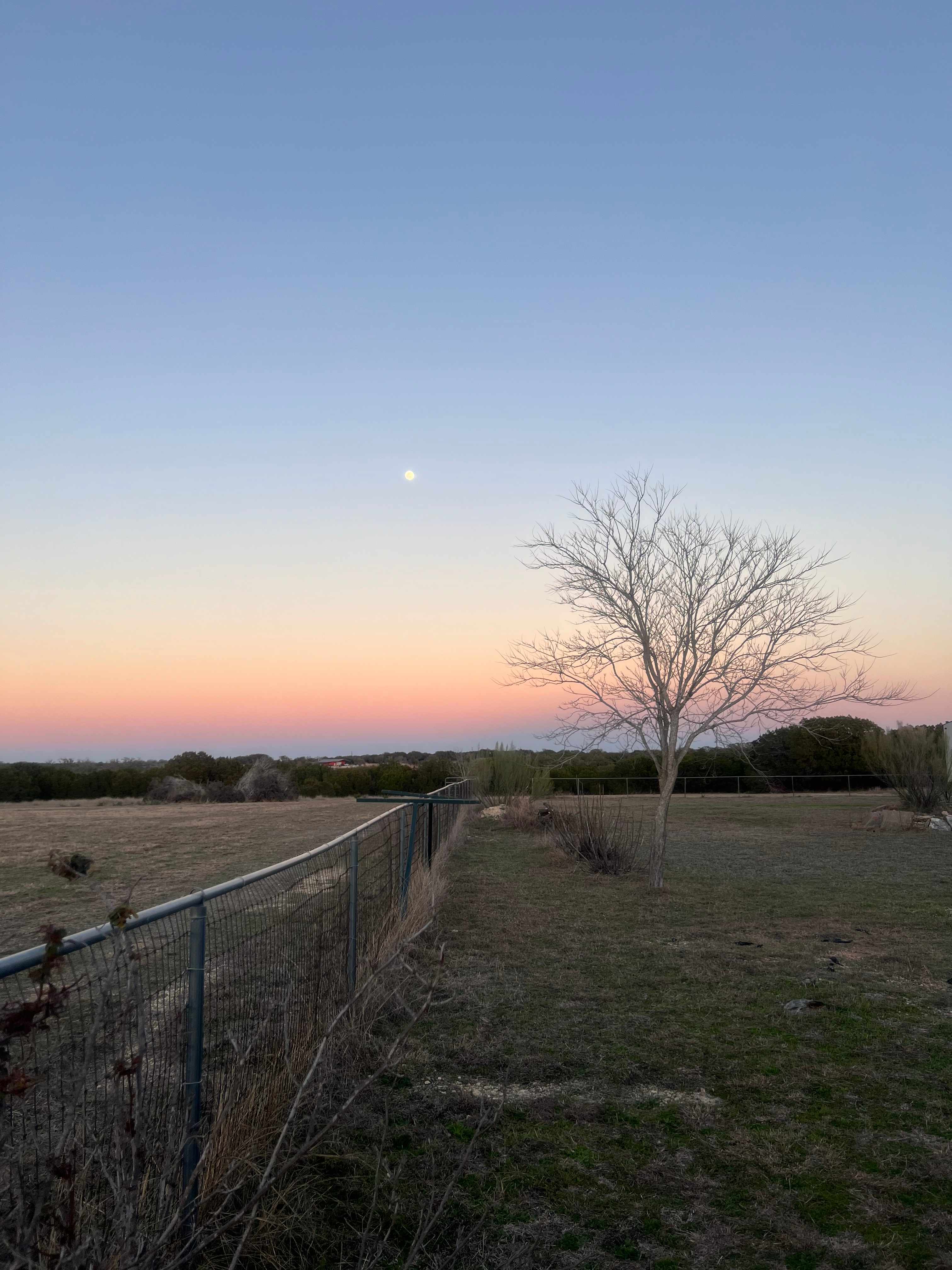 Rosebud Hill