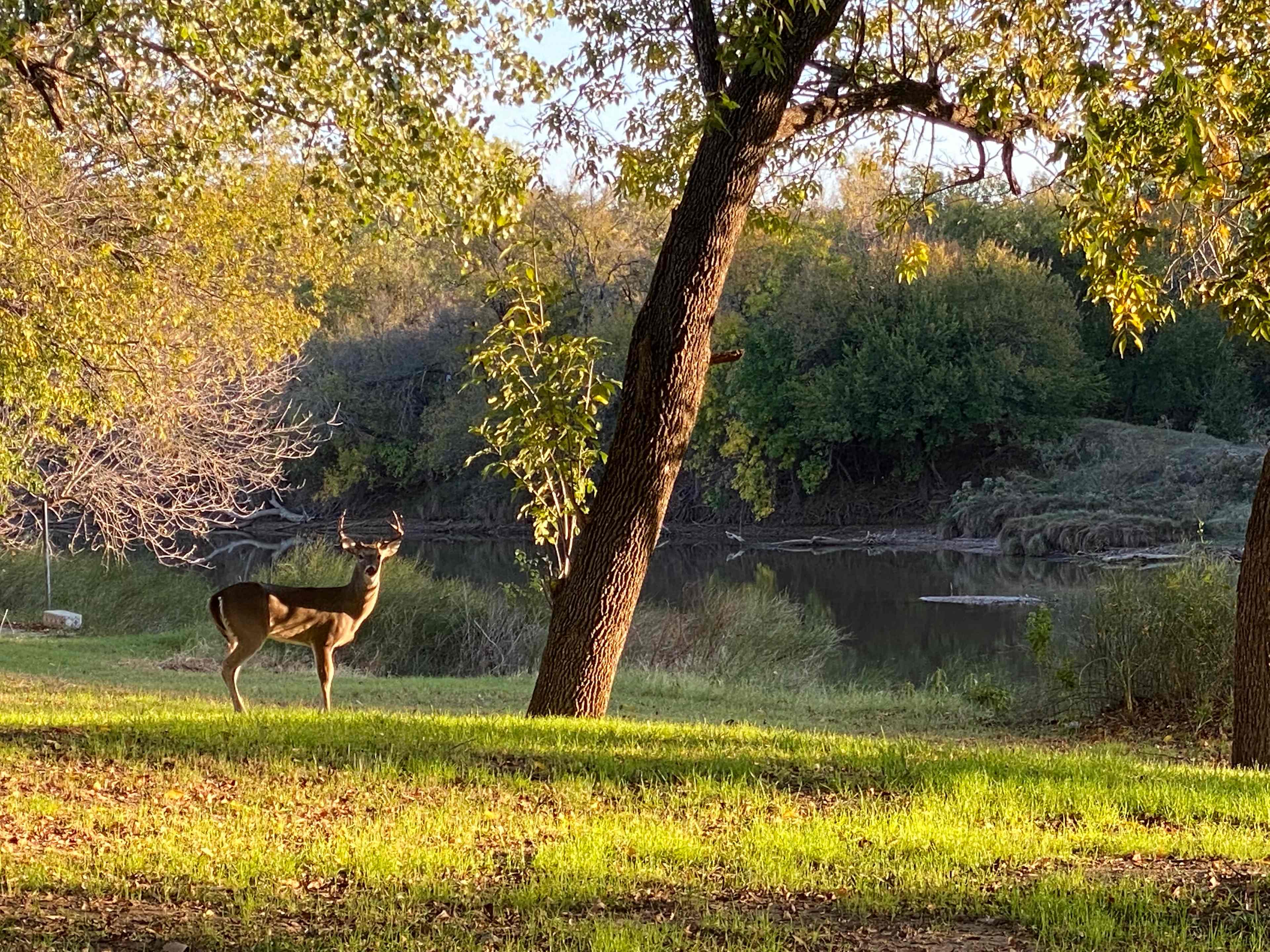 Brazos River Camp