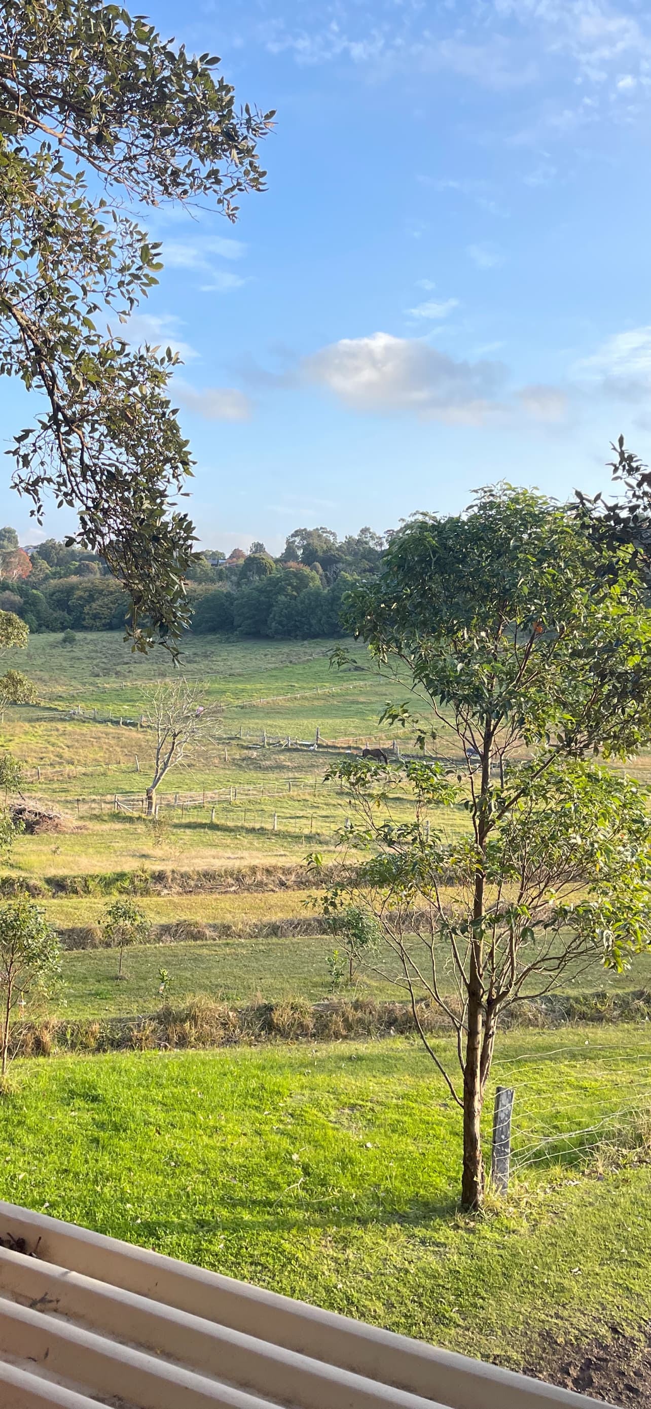MiltonFarmStay