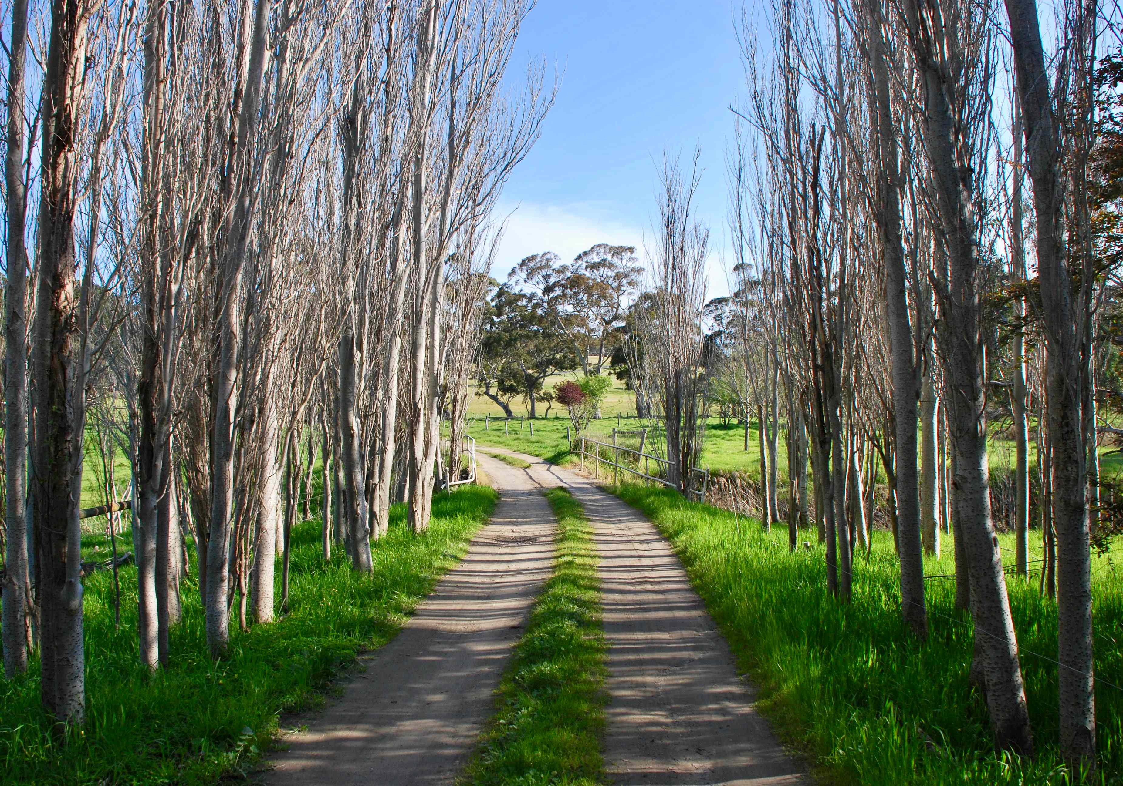 The view exiting our property.