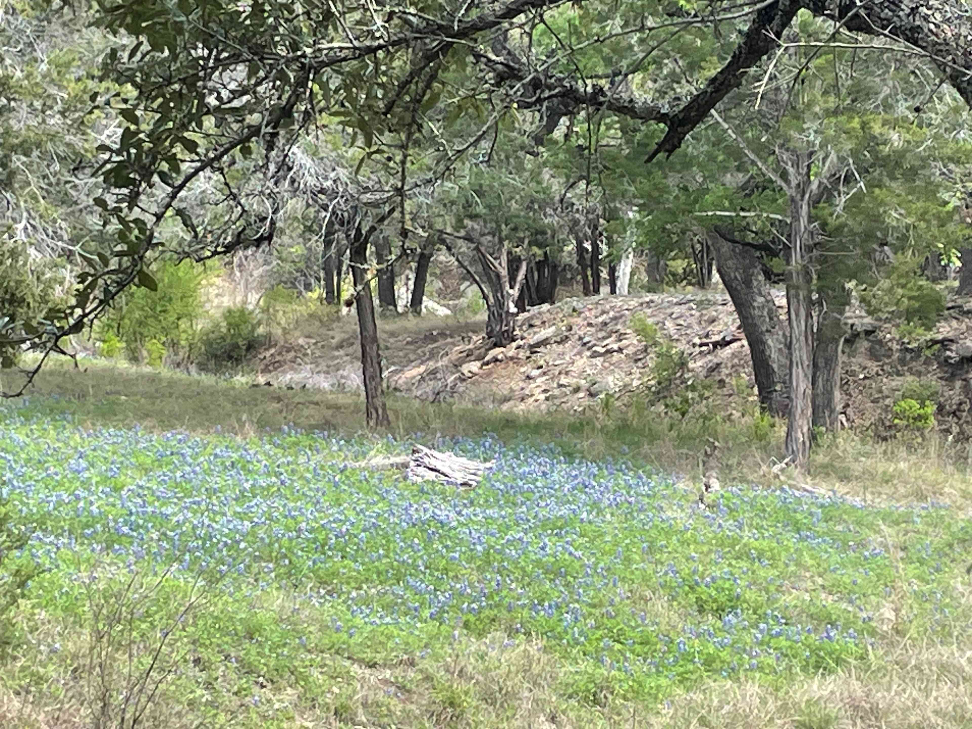 8.6 Ac In TX Hill Country