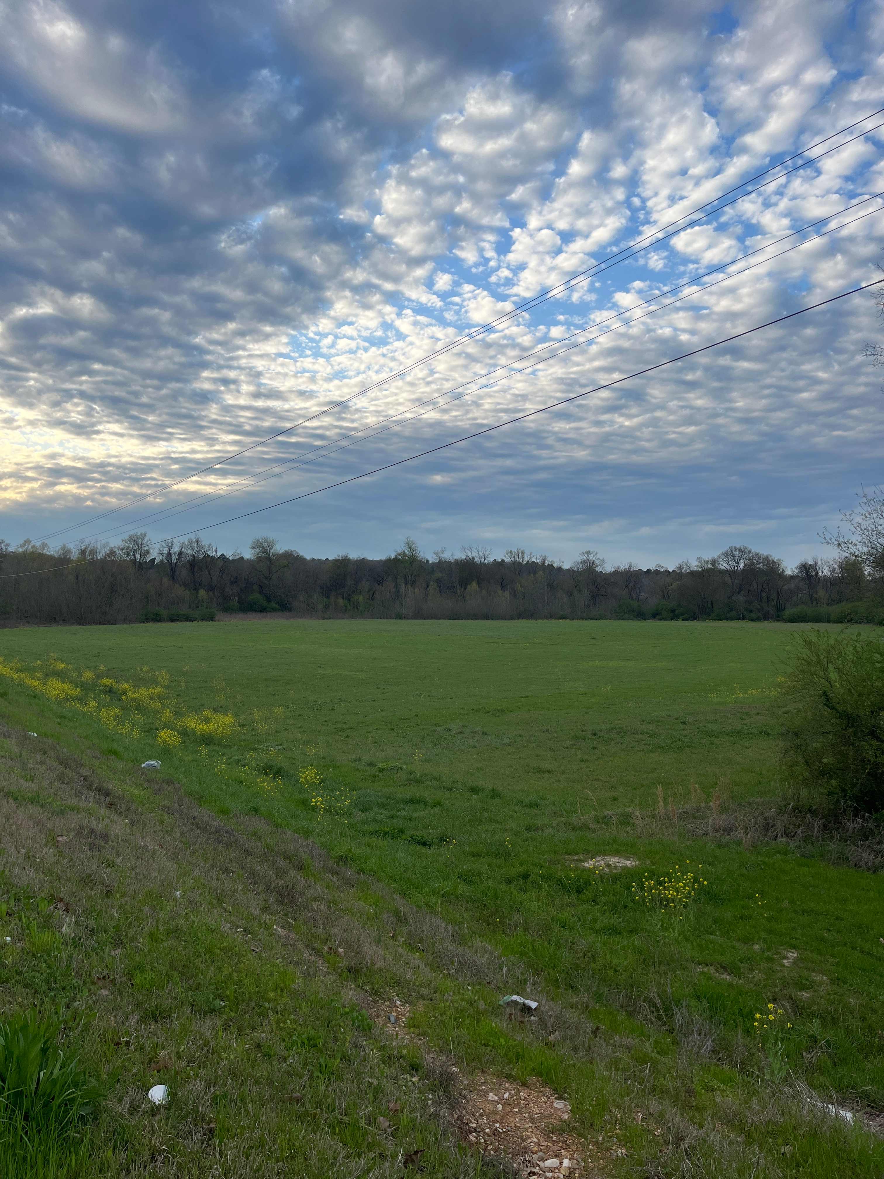  Our wide-open field with a beautiful view of the magnificent southern sky. The sunsets are epic.