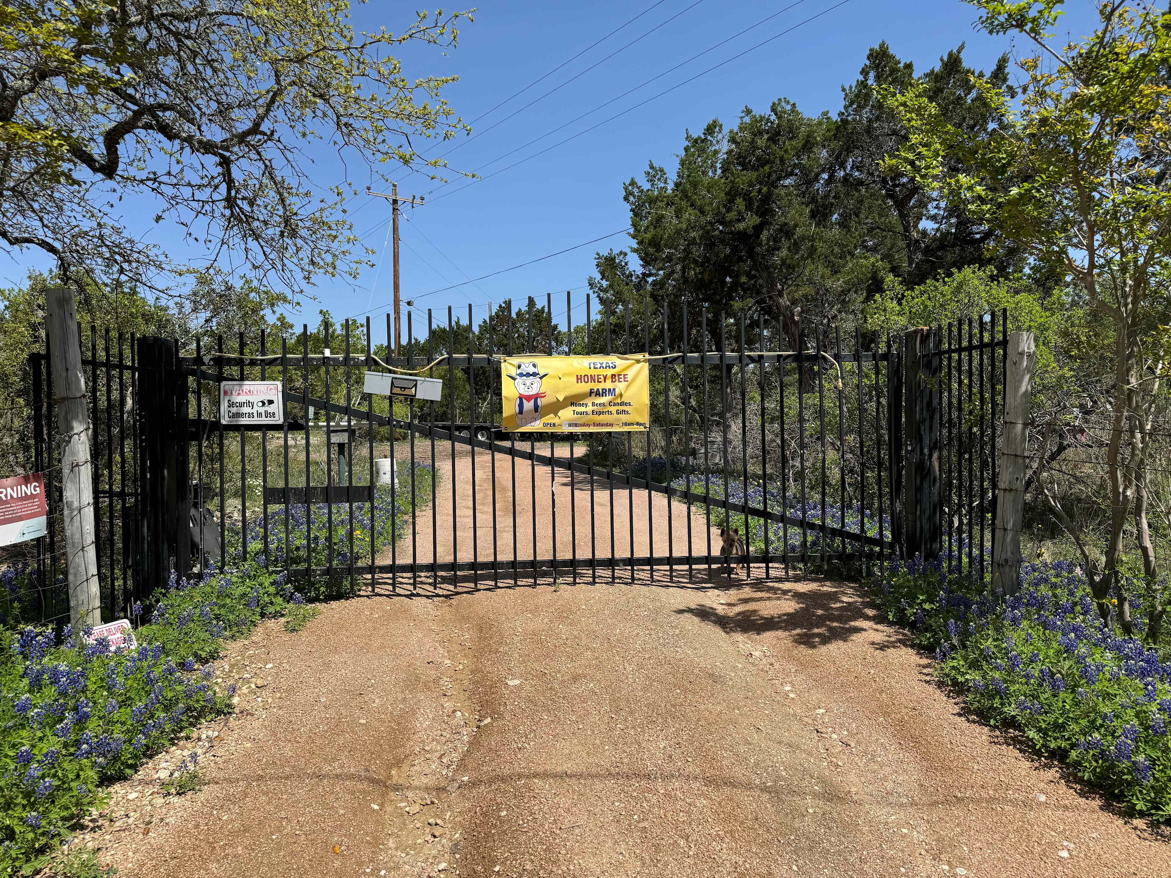 Texas Honey Bee Farm