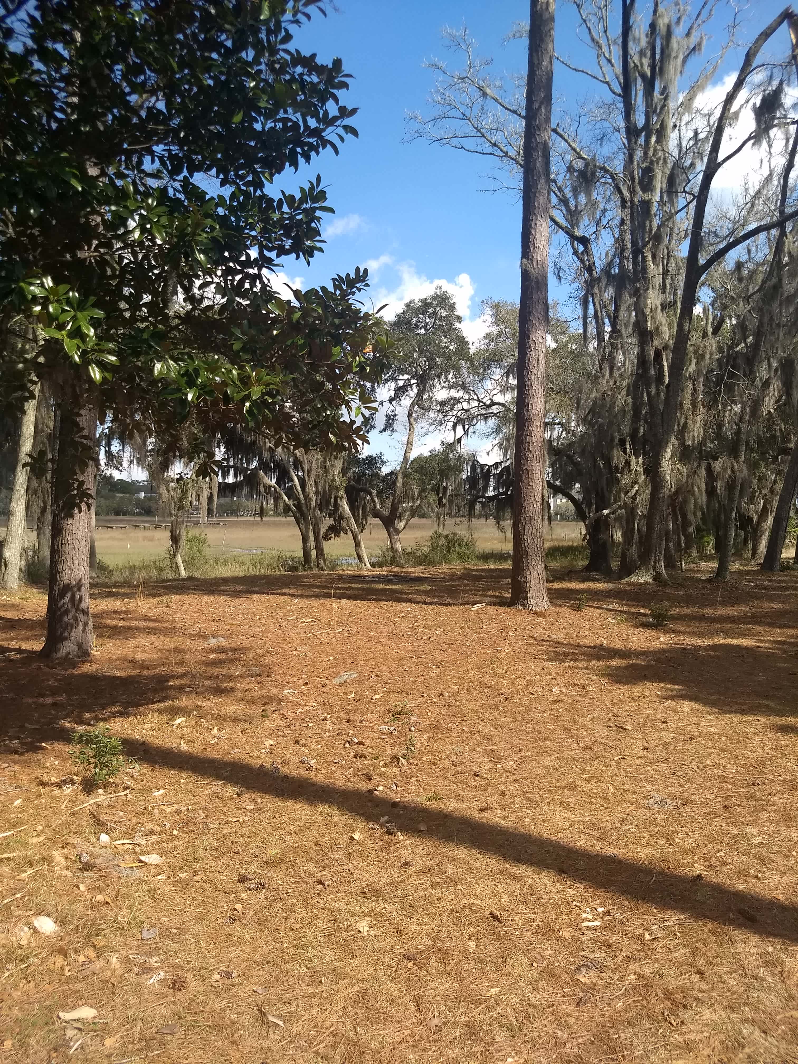Marshside