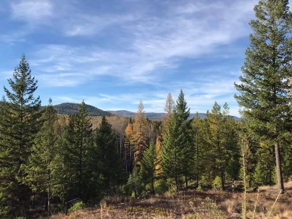 View to the West from the front deck.