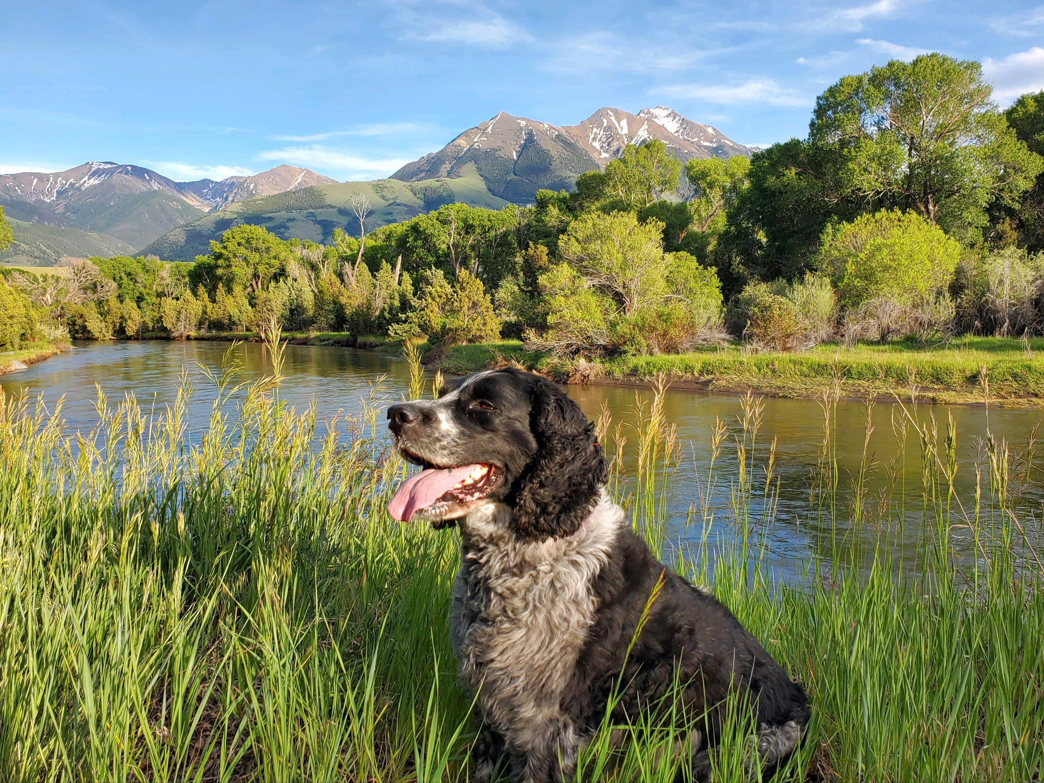 7 Point Guest Ranch
