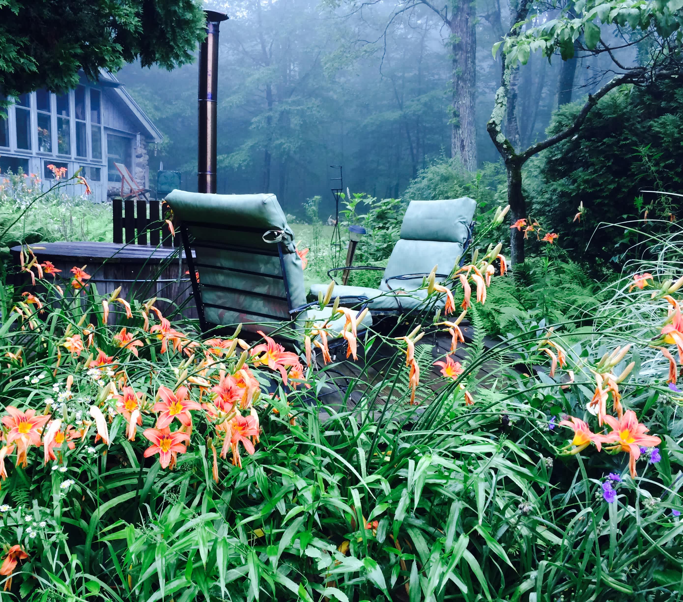 Art-Funk Forest Retreat