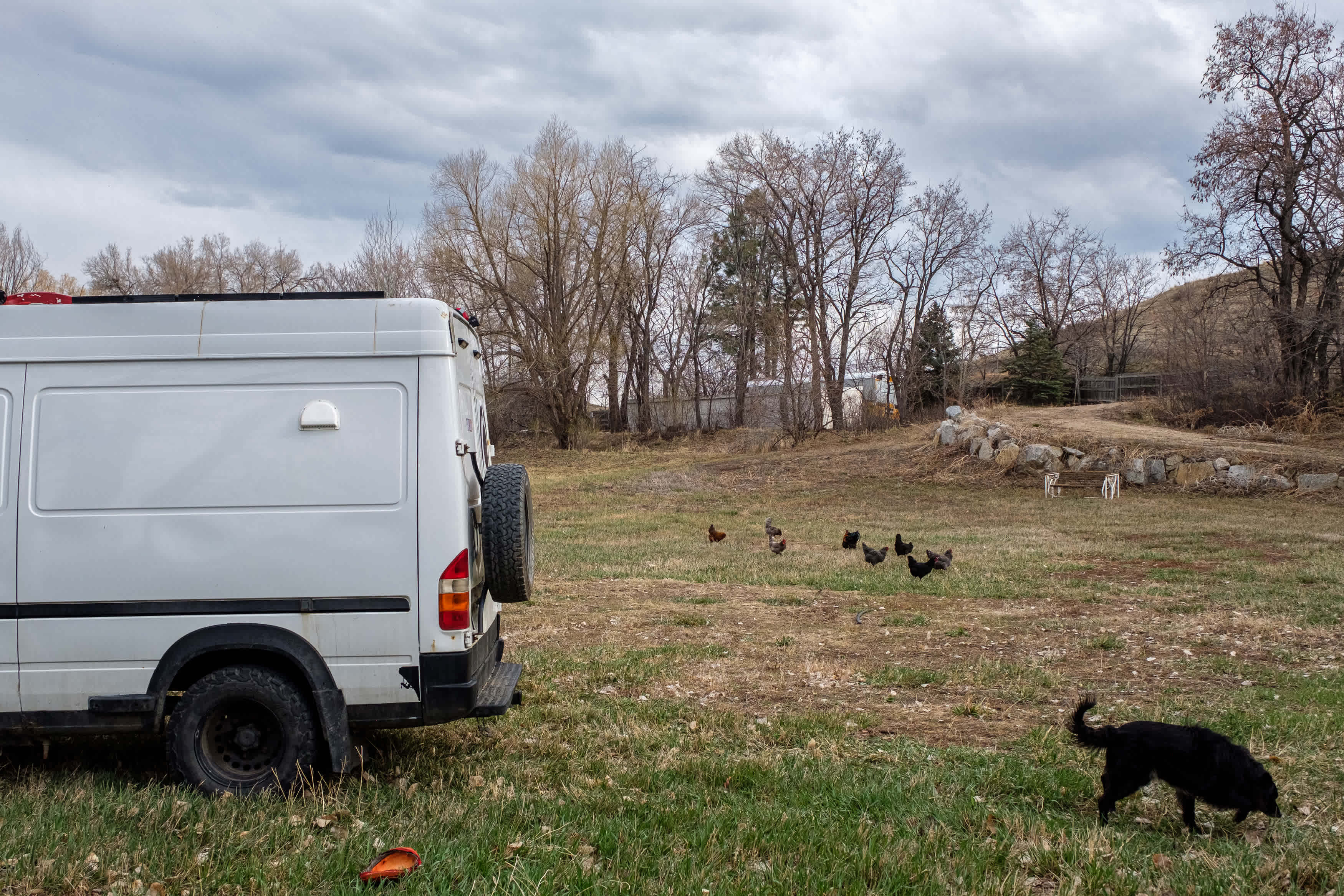 Boulder Chicken Ranch