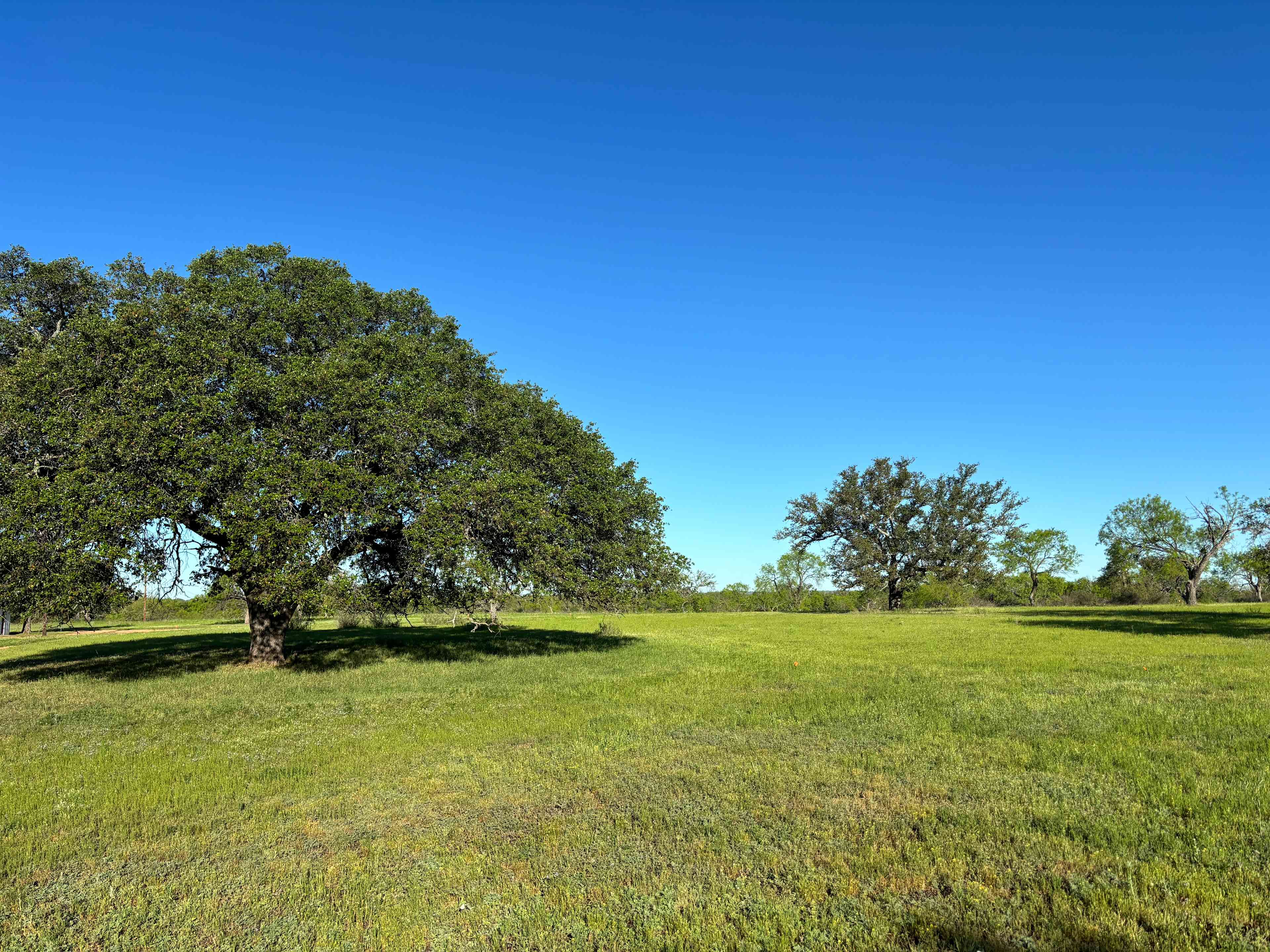 Raine Creek Ranch