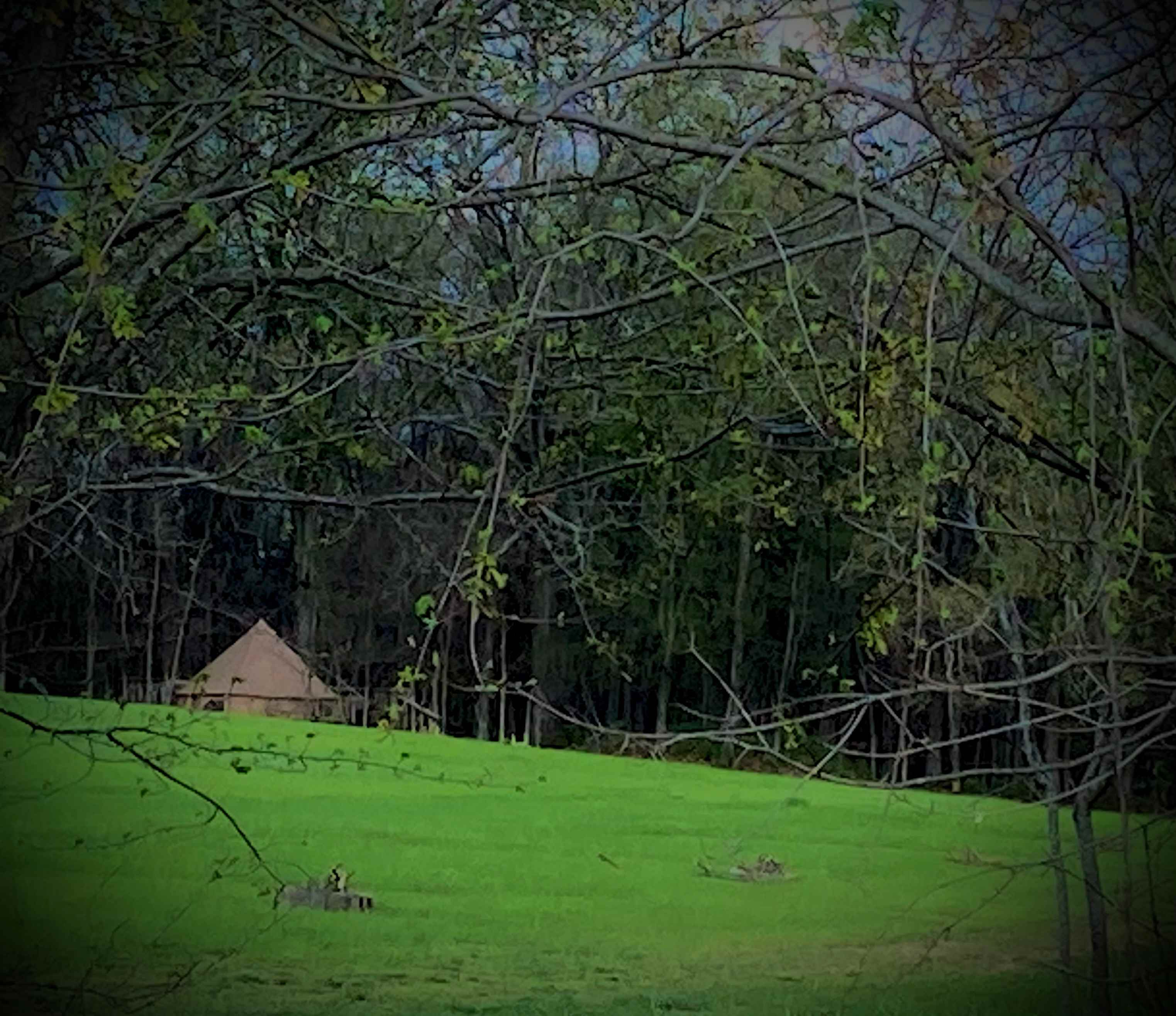 The Art Farm Women's Retreat