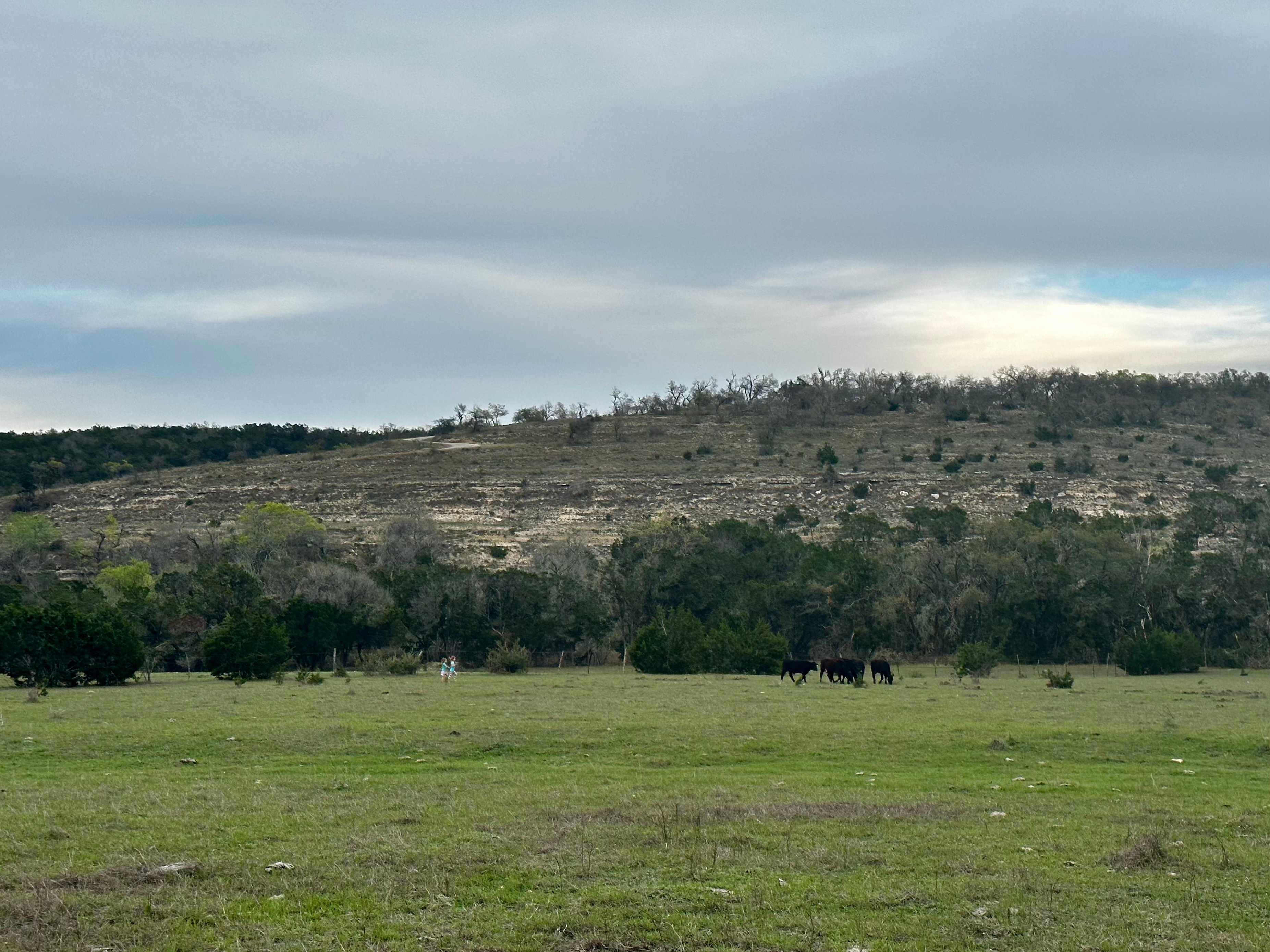 Double H Ranch