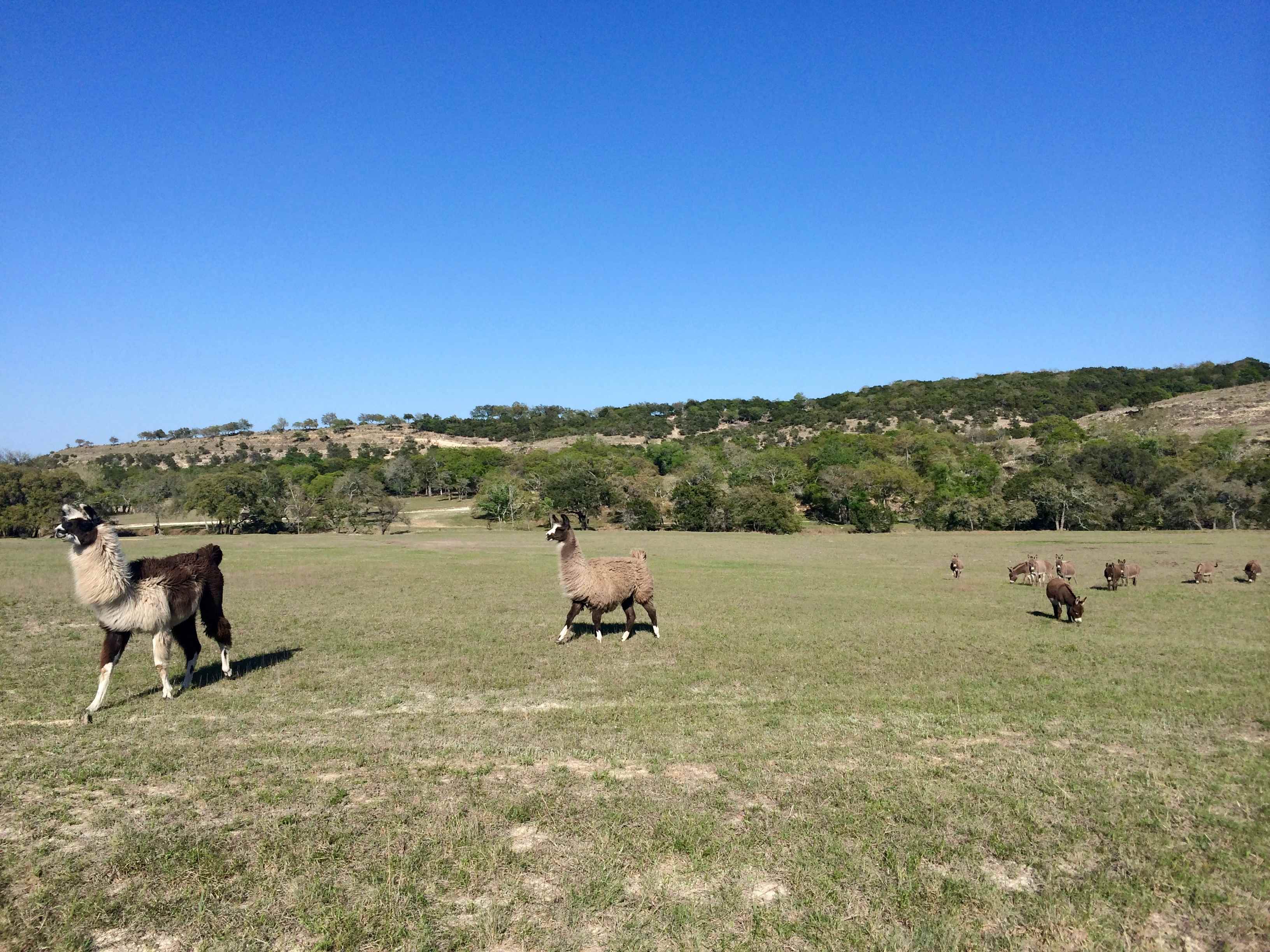 Double H Ranch