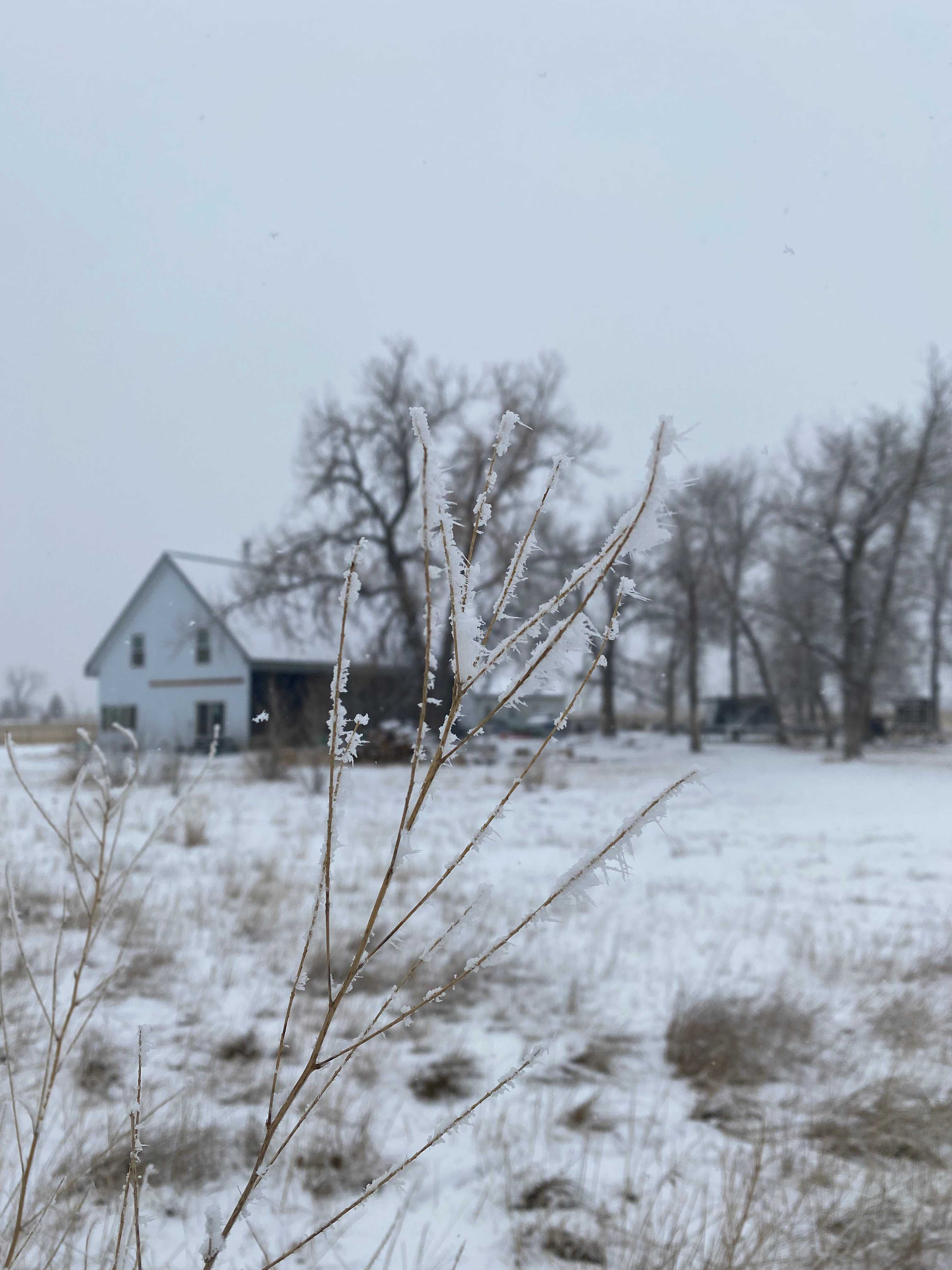 Hardda Farm Site