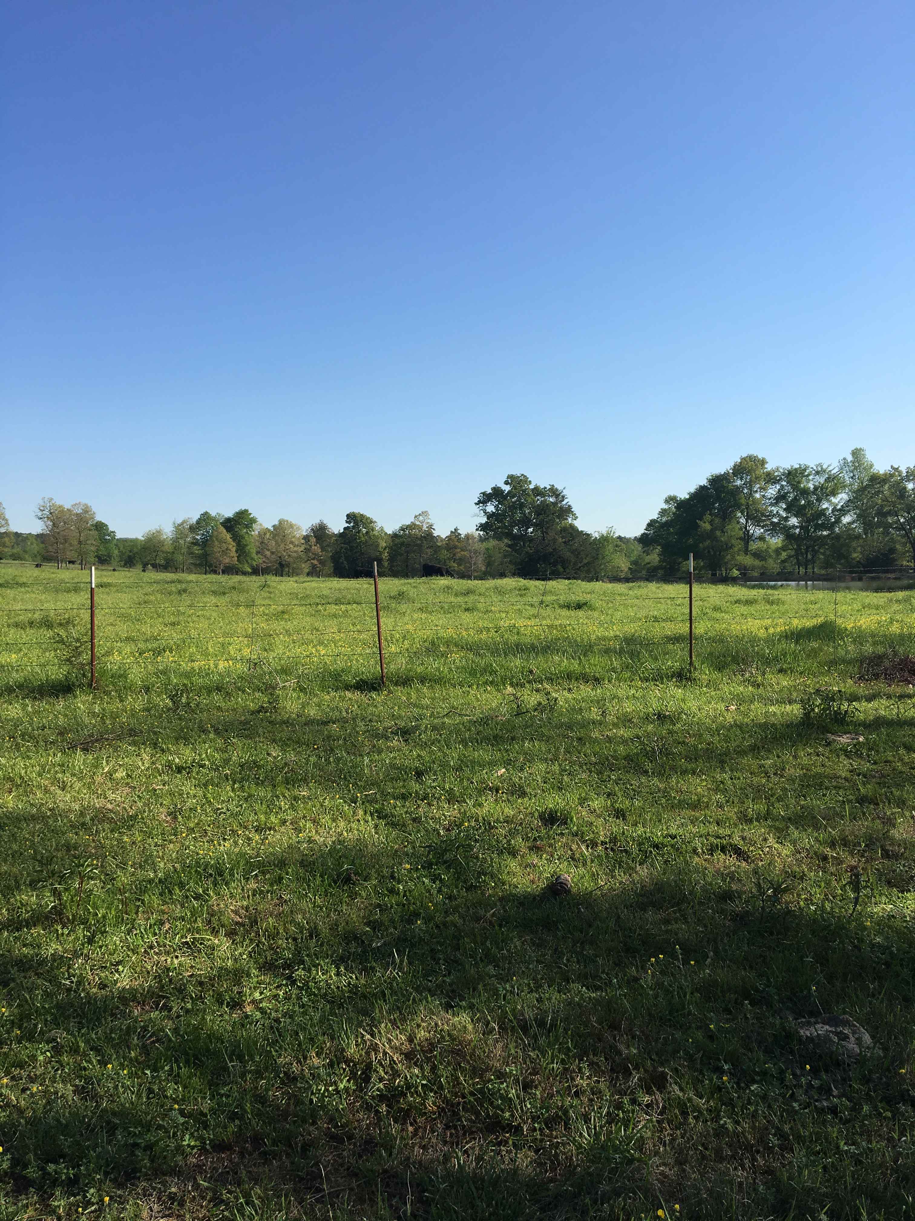 Working Ranch Best Area