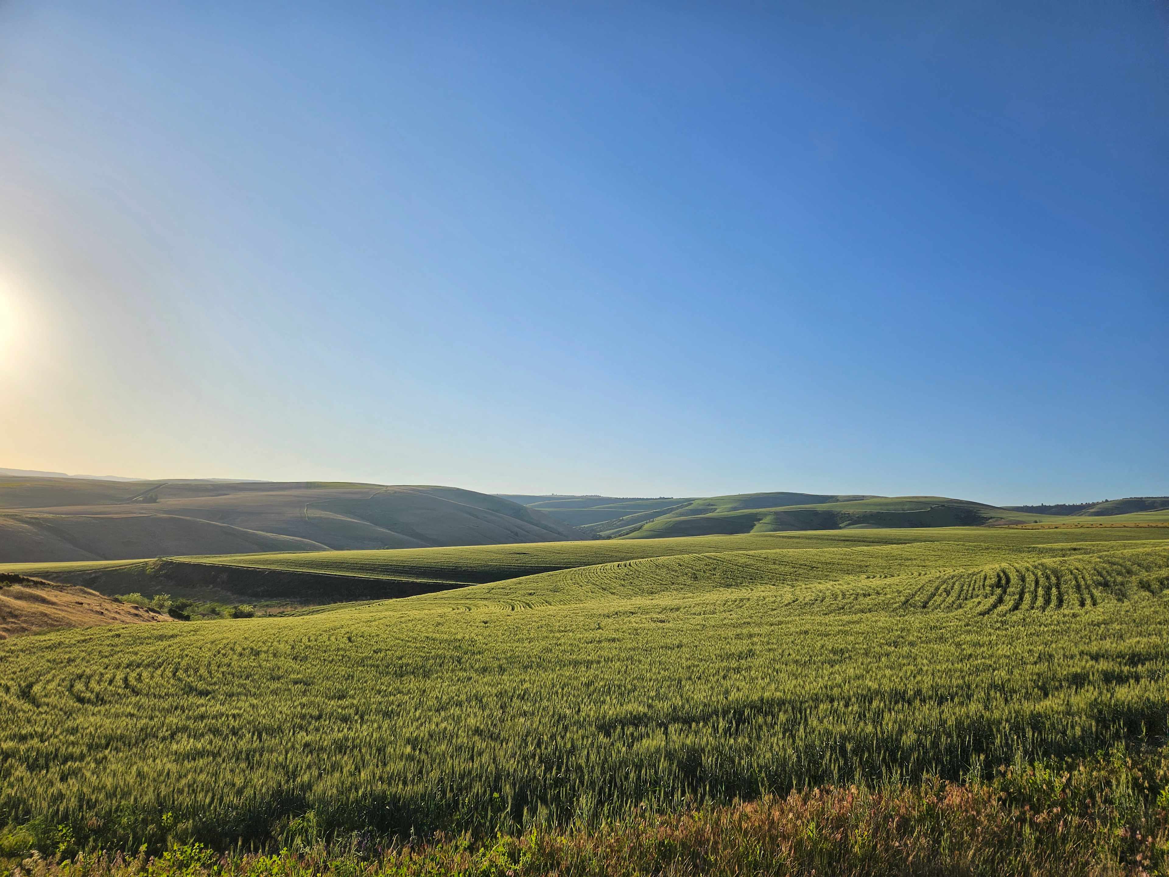 Shumway Farm