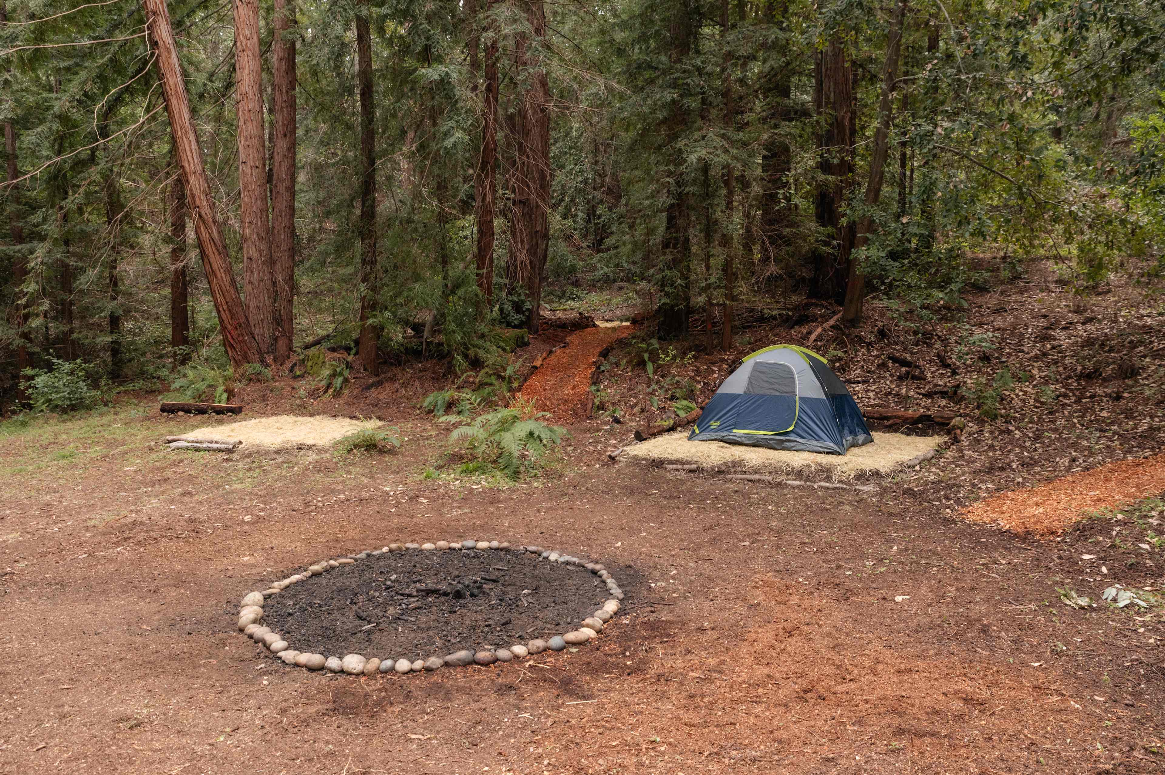 each site is plenty big for a 6 person tent
