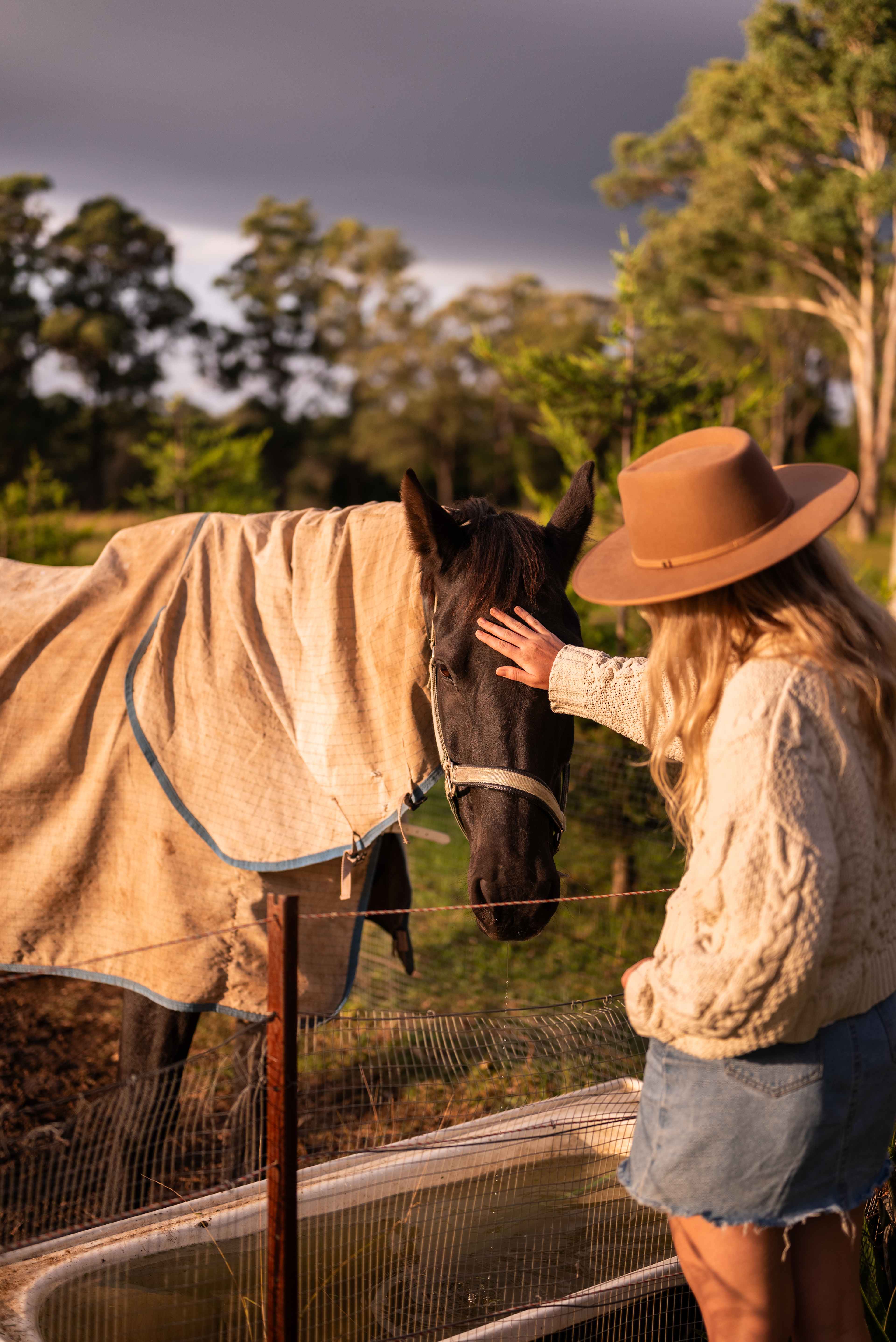 Friendly horses are down for some pats 
