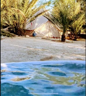 Mineral Spring Date Farm