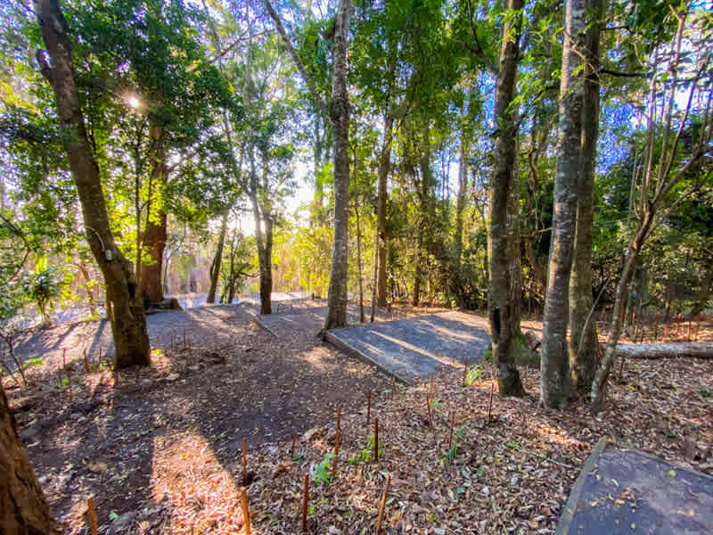 Binna Burra Lodge