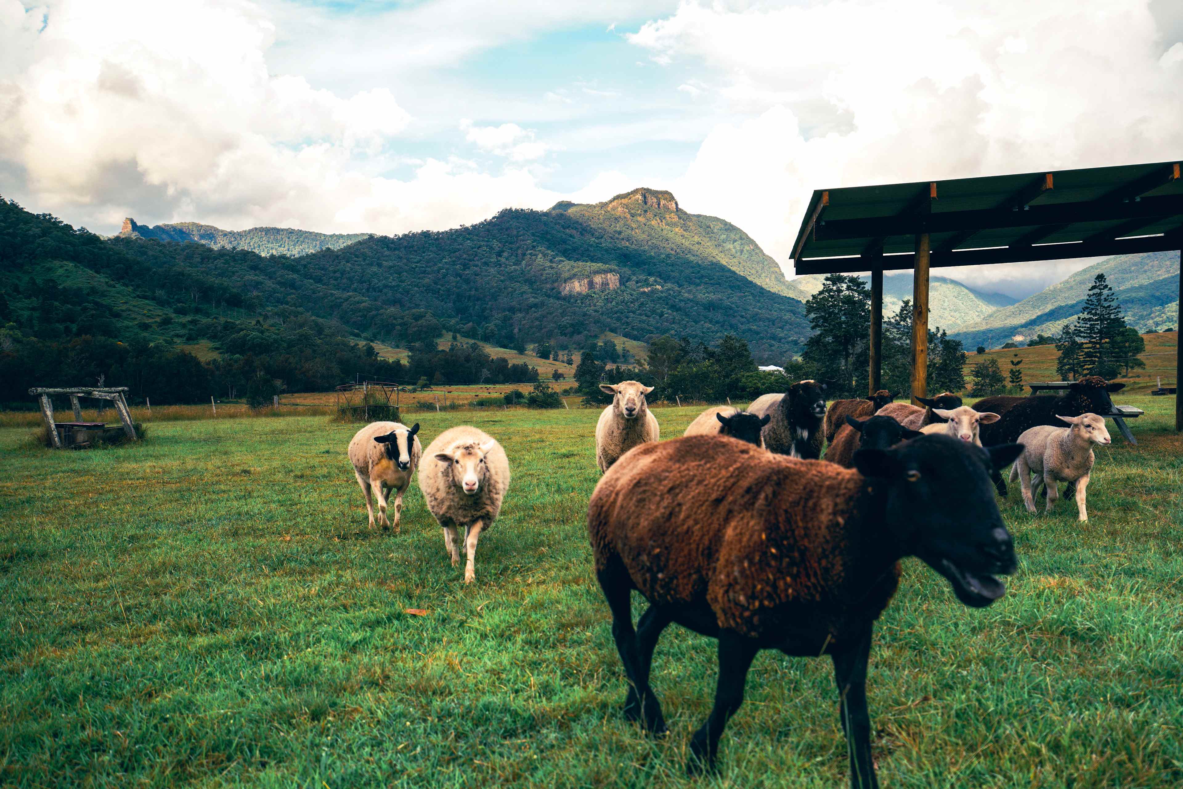 Cedar Glen Farmstay