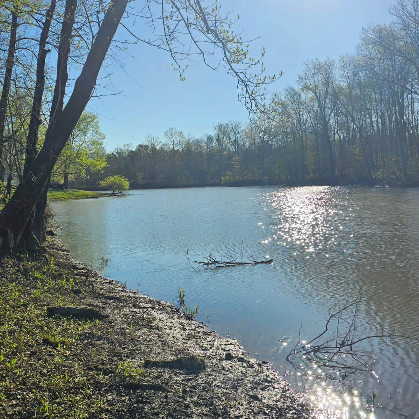 Hidden Oasis at White Oak Landing