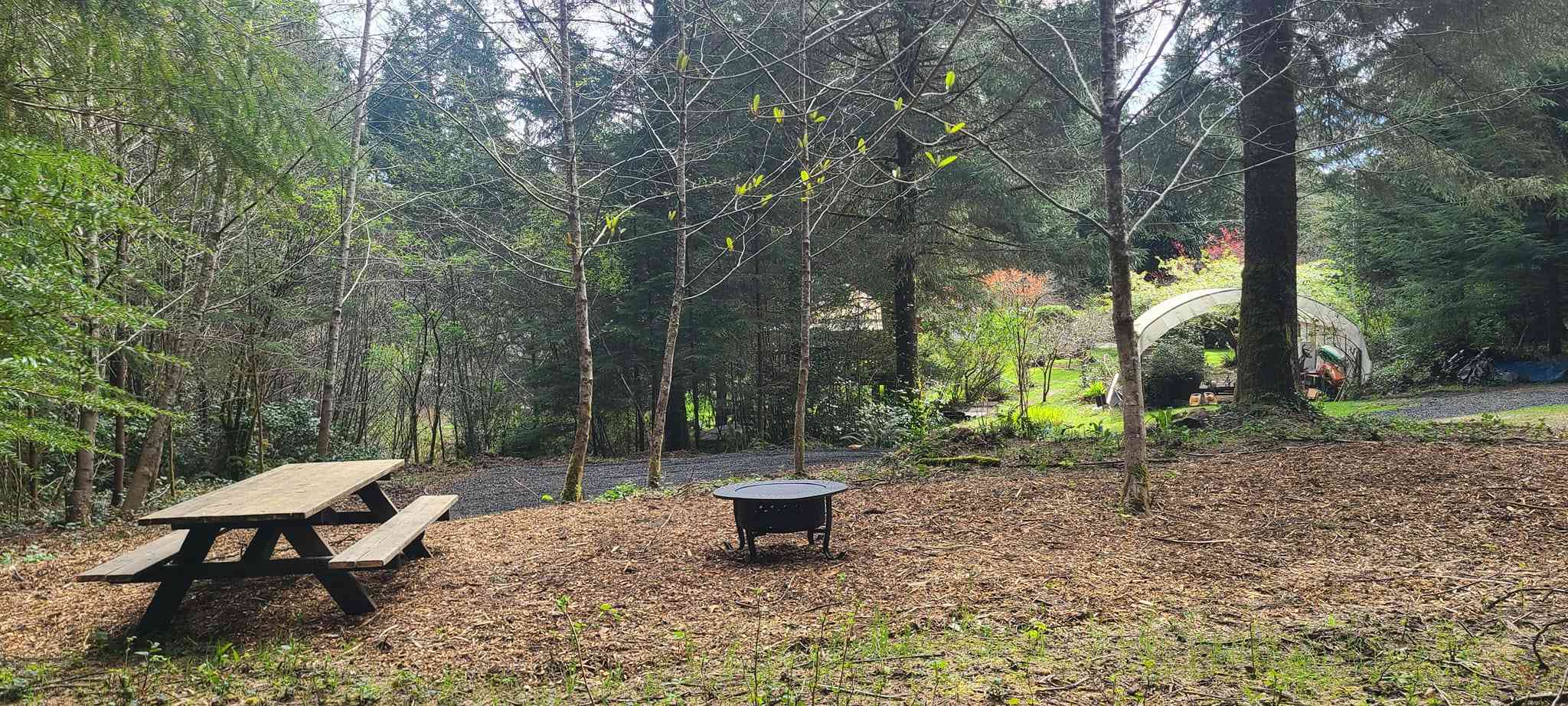 Burgess Backyard