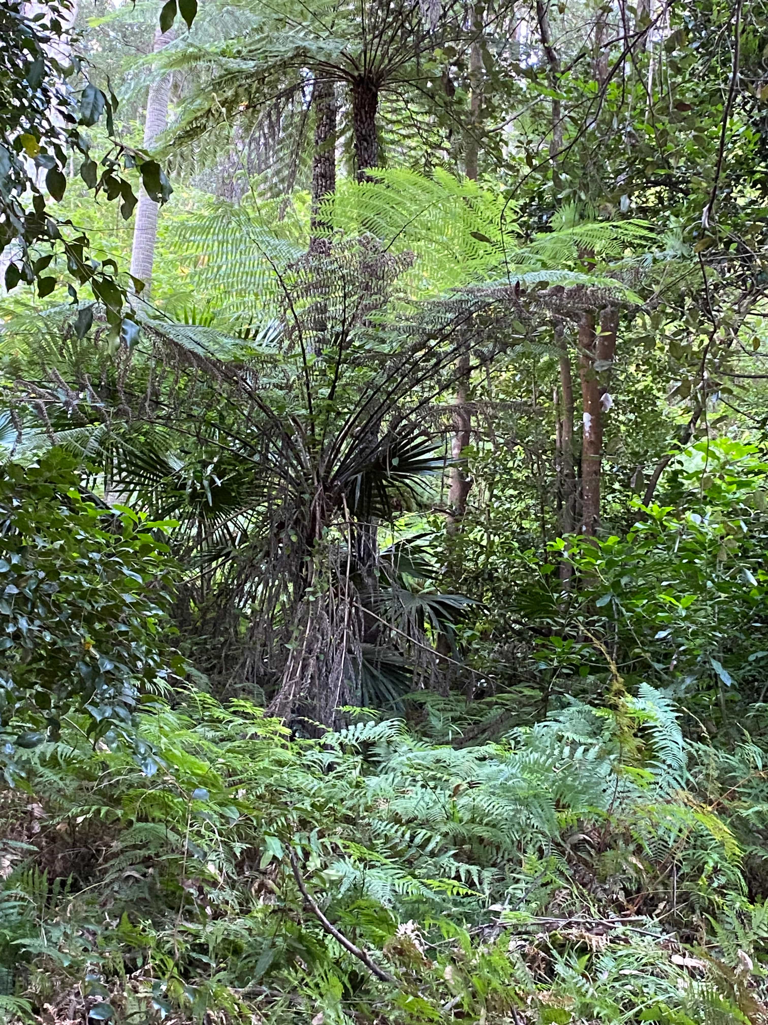 Secret Valley