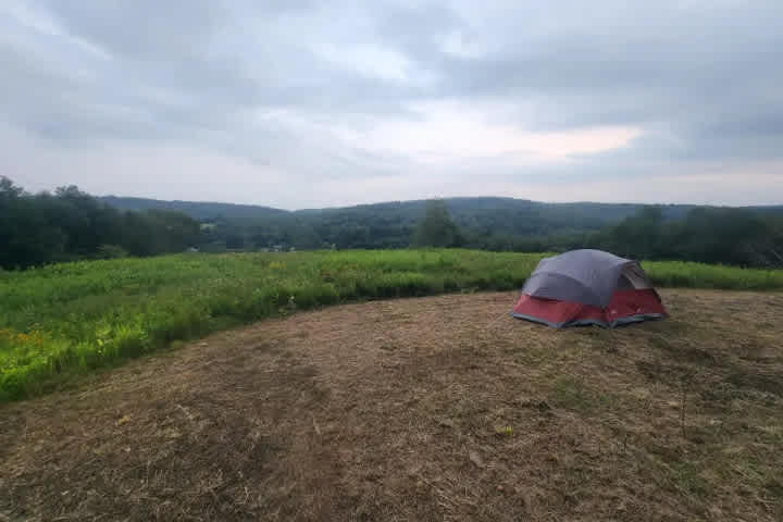 Swan Lake Bare Camping