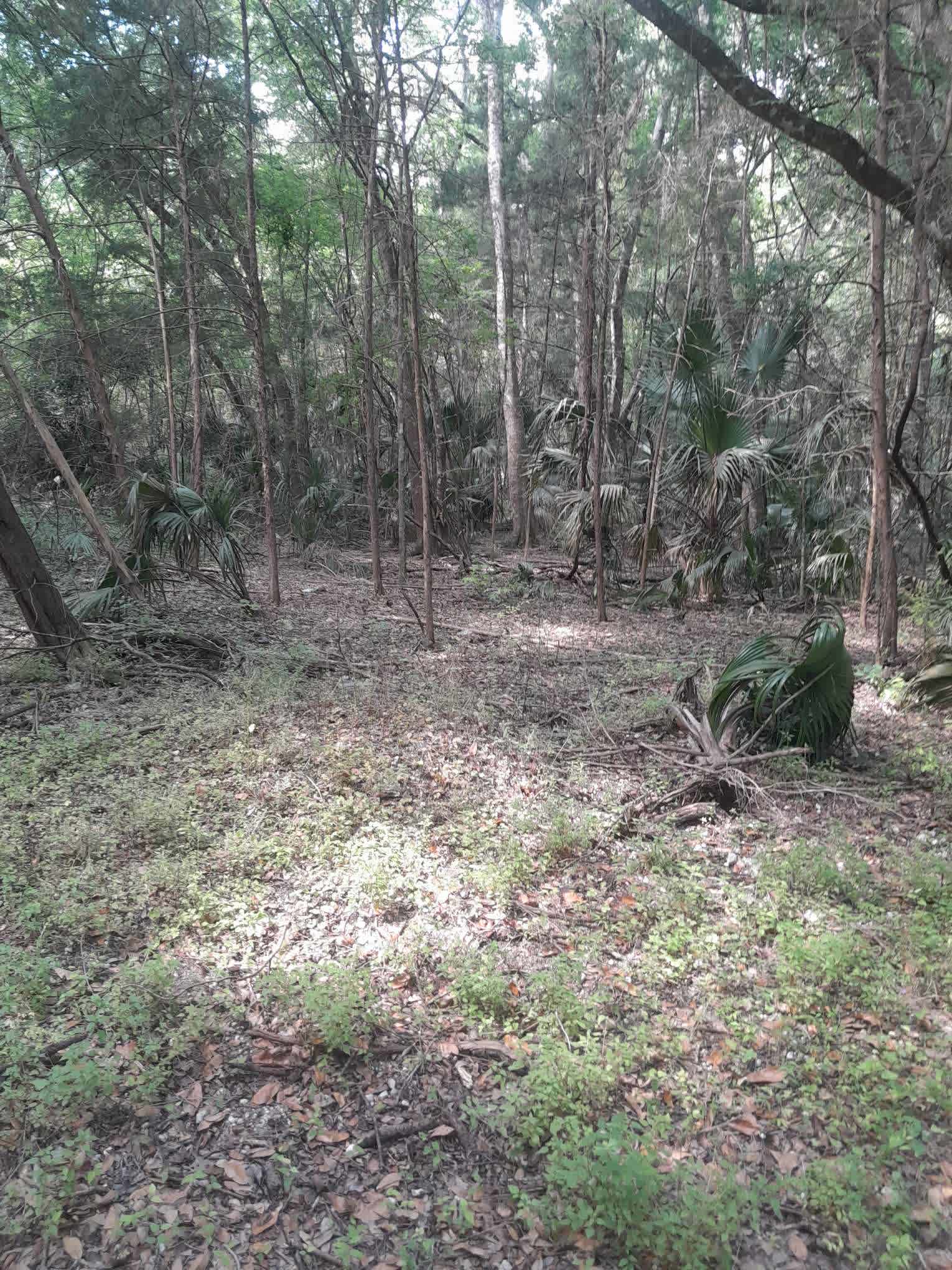 Country Acres
