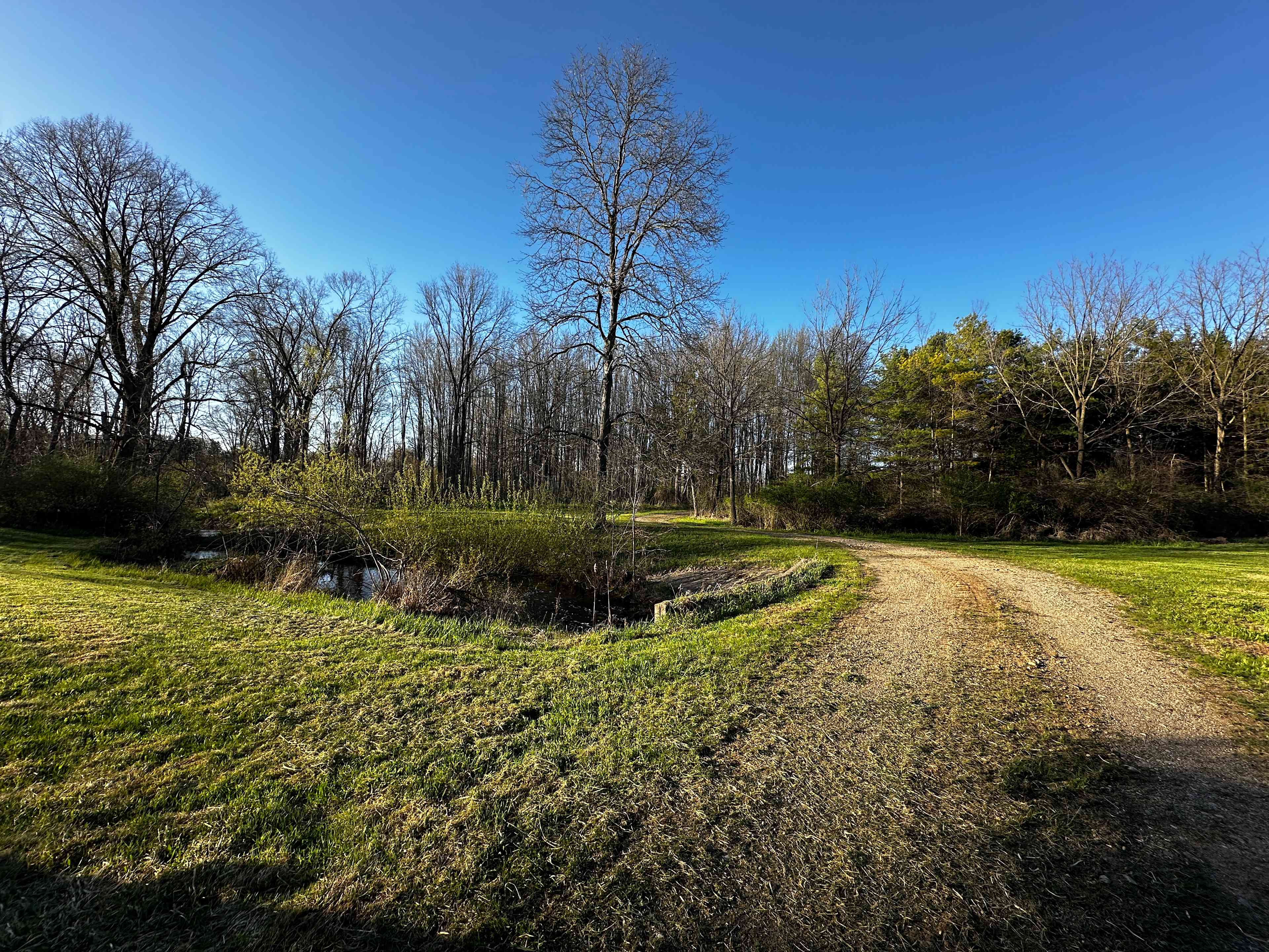 Boone Farm & Forest