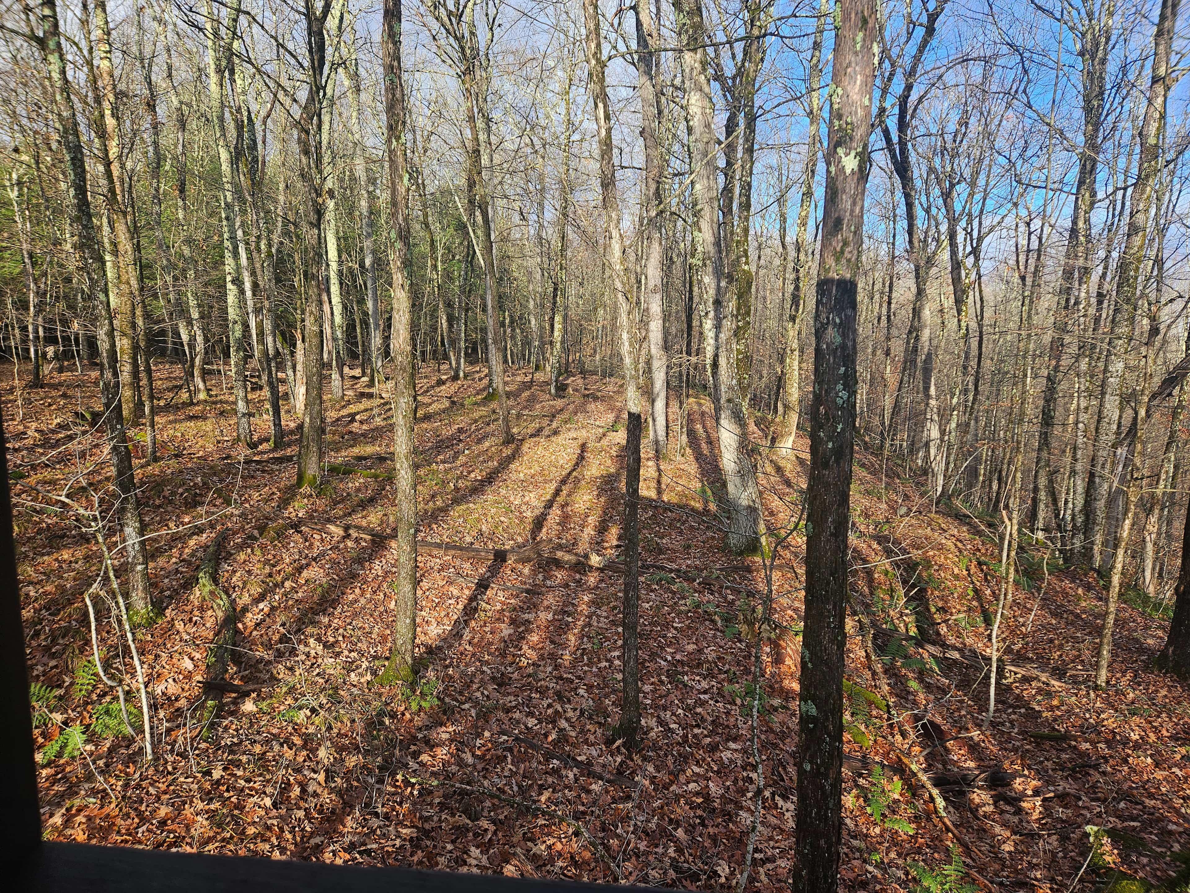 Brook Hollow Homestead