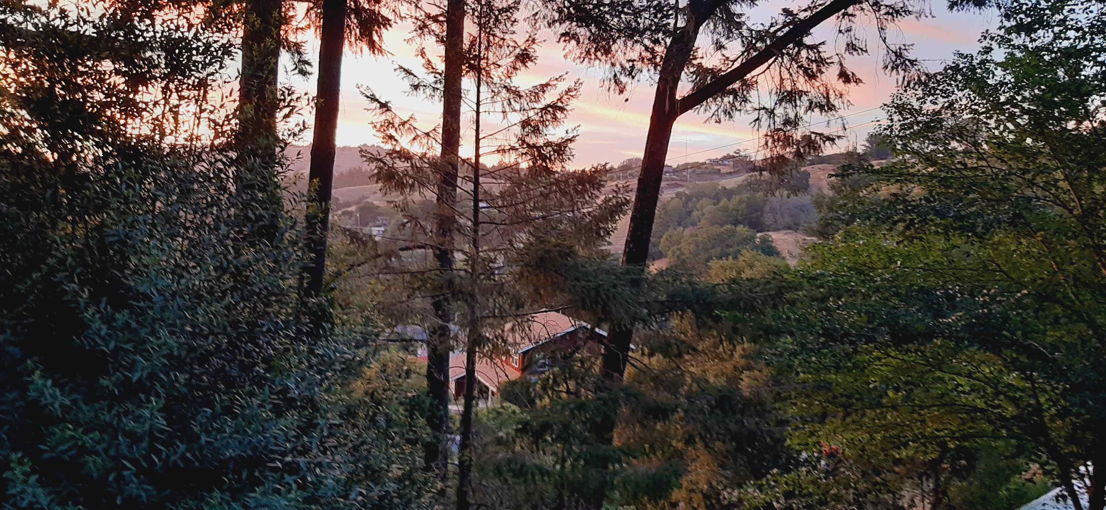 Zen Teahouse Studio in the forest