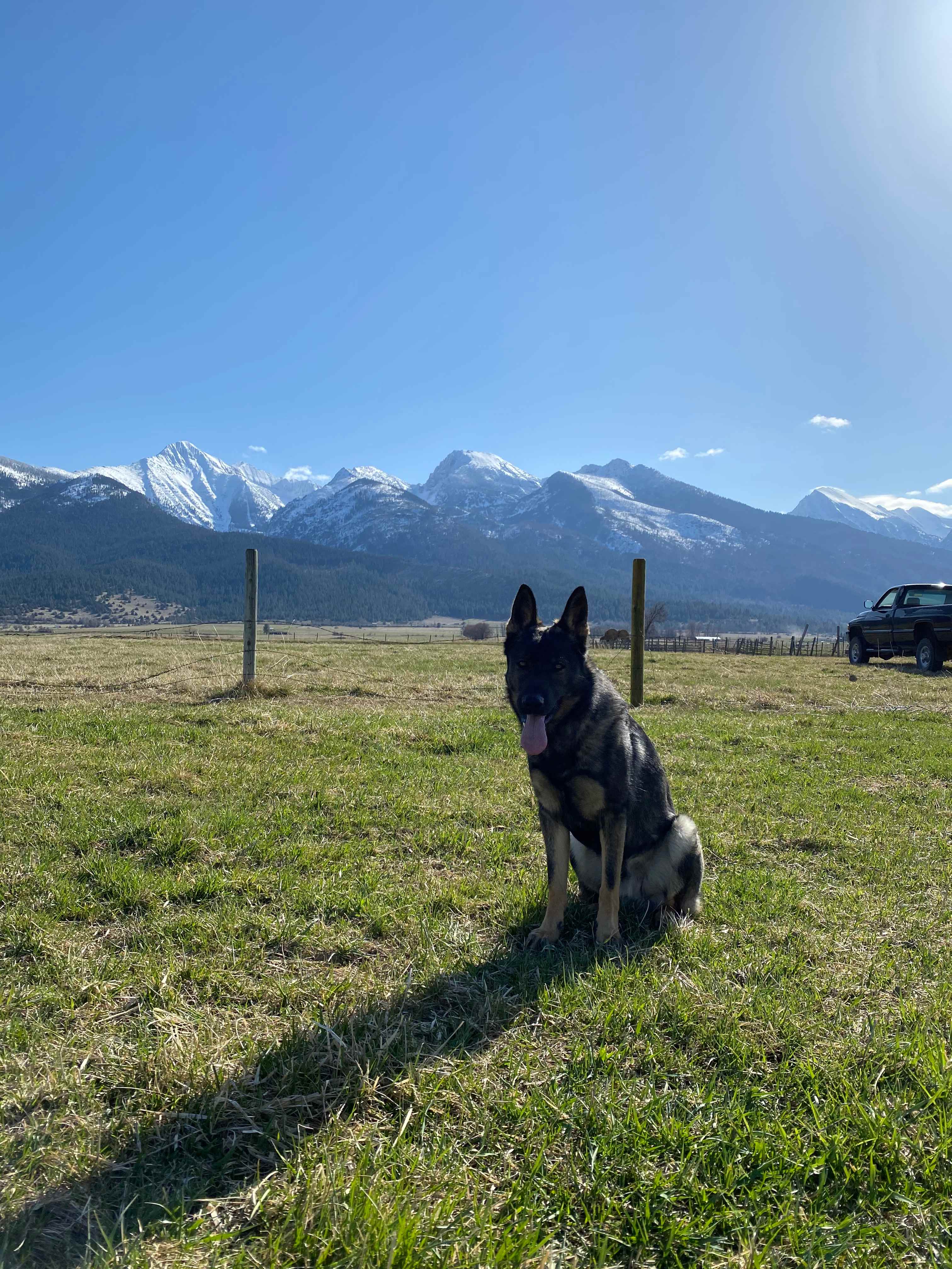 Mission Mountain DOZ Ranch