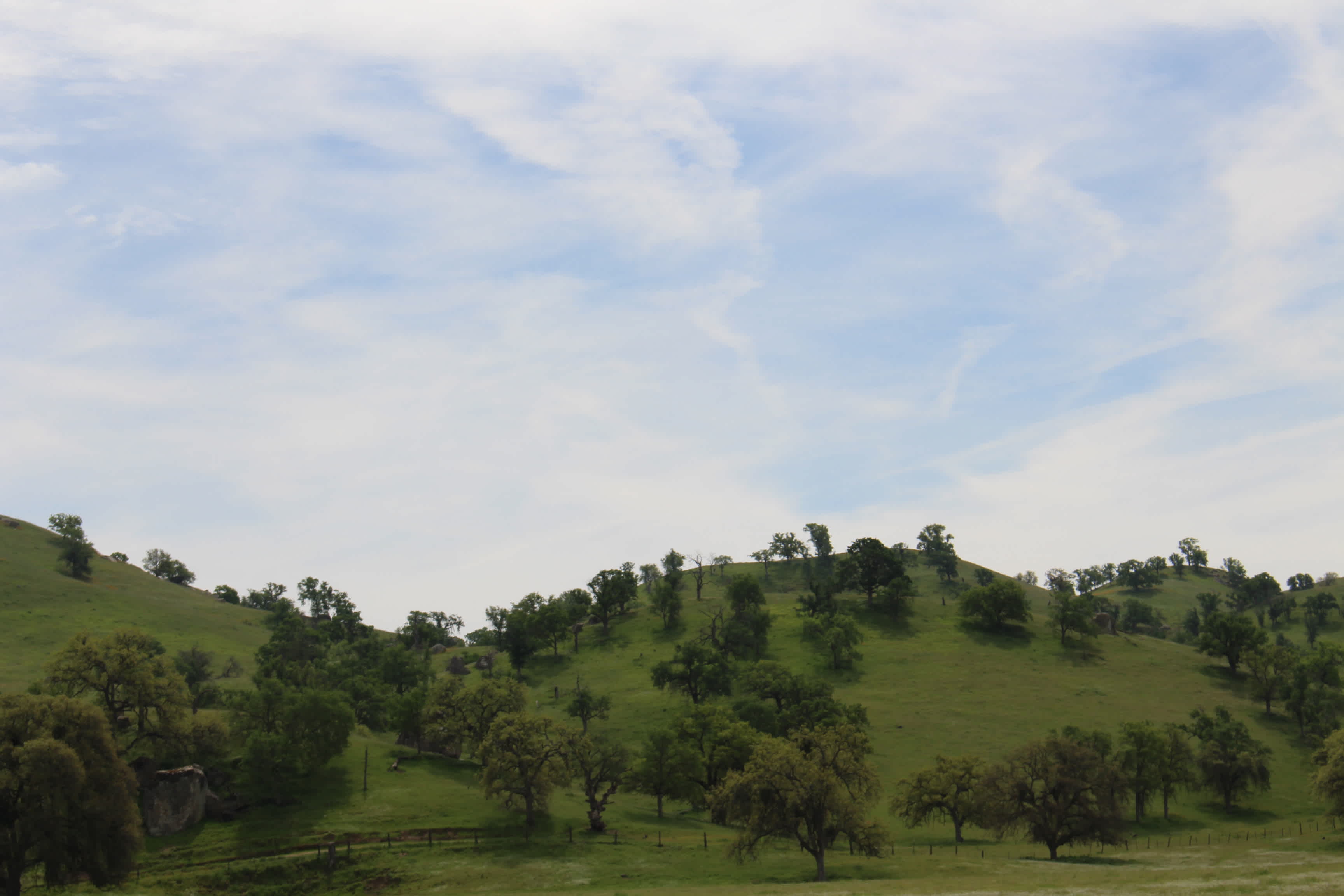 Oak Glenn * California Hot Springs
