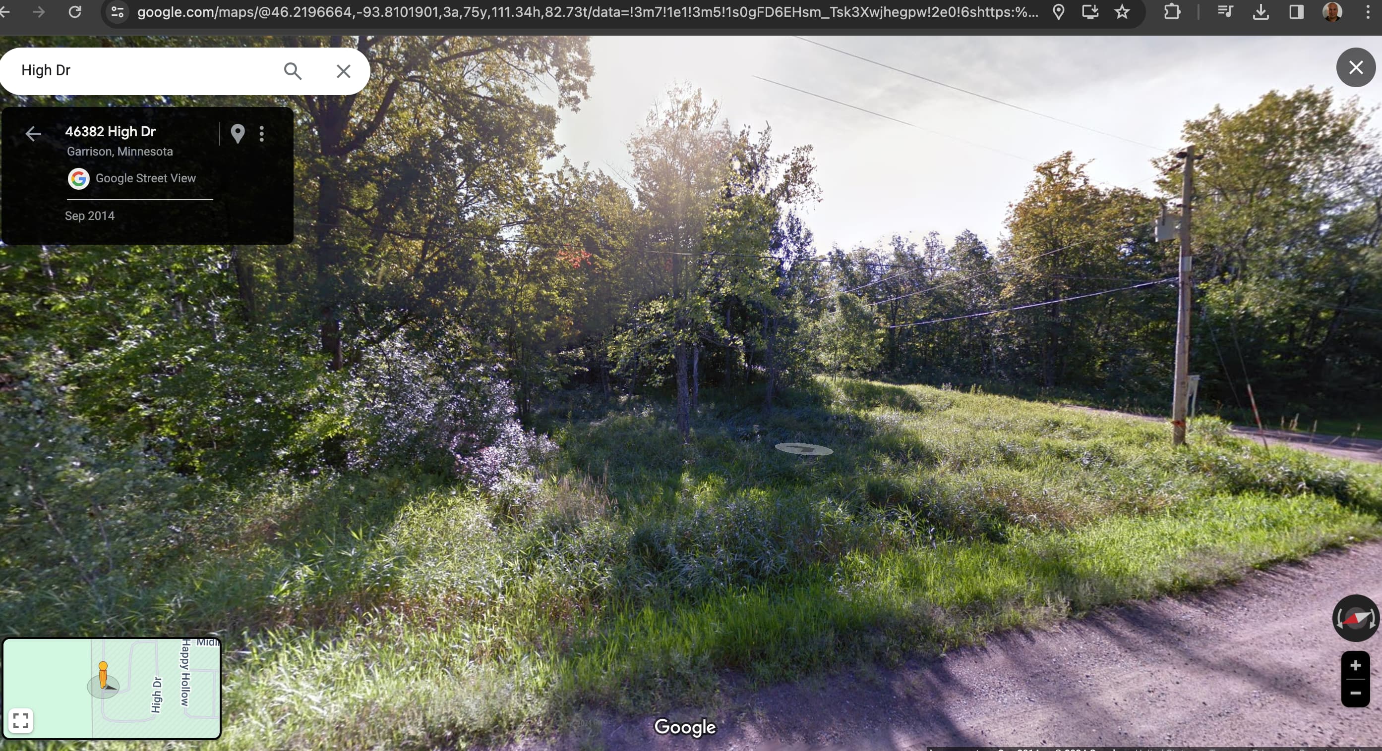 Birdsong Camp