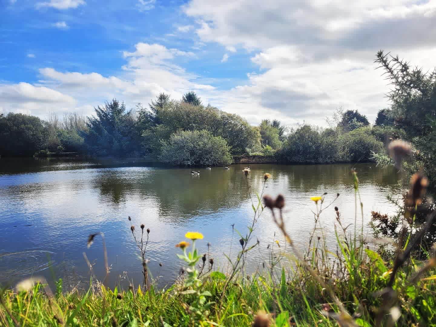 Tregonetha Lake