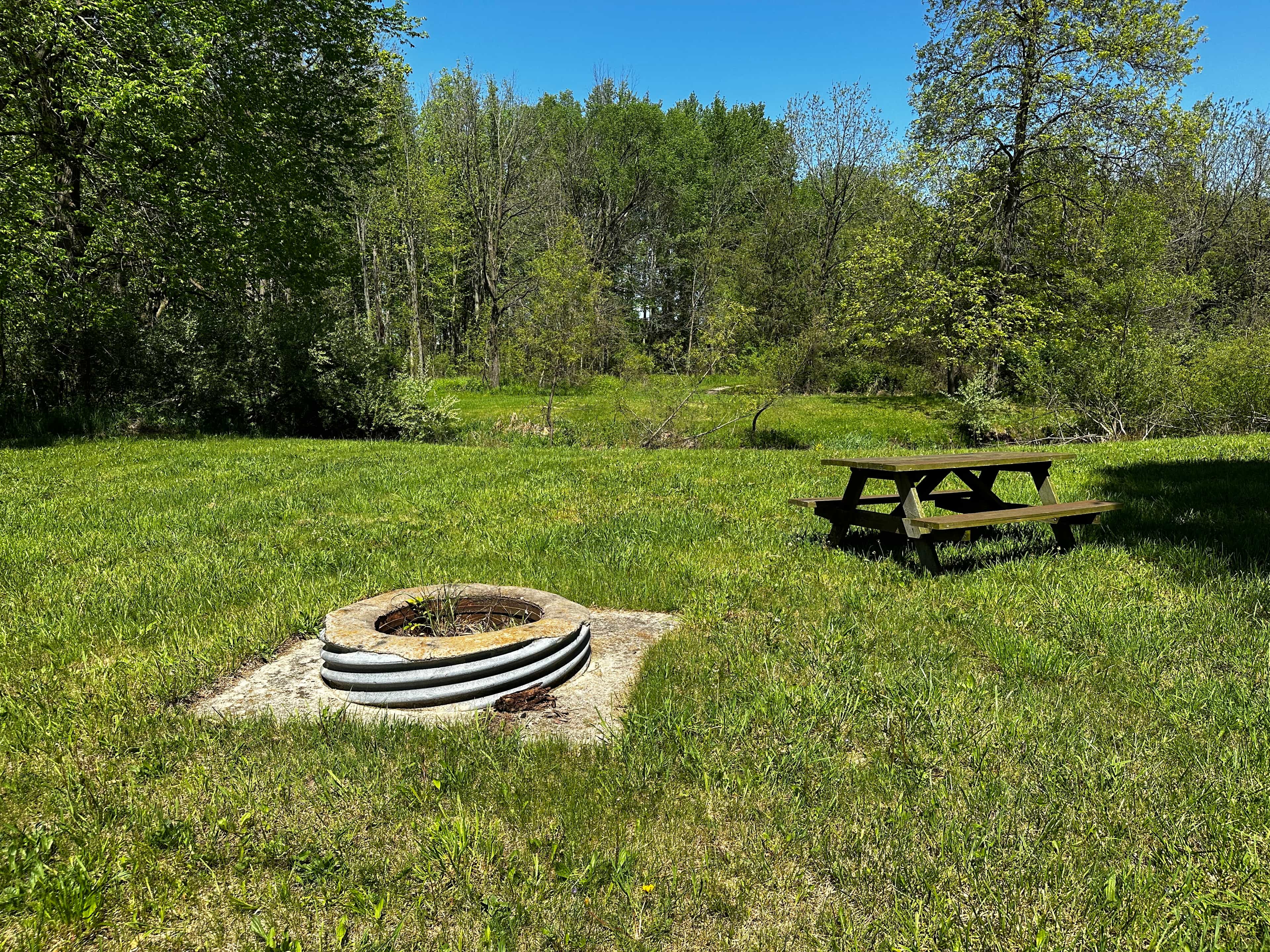 Boone Farm & Forest