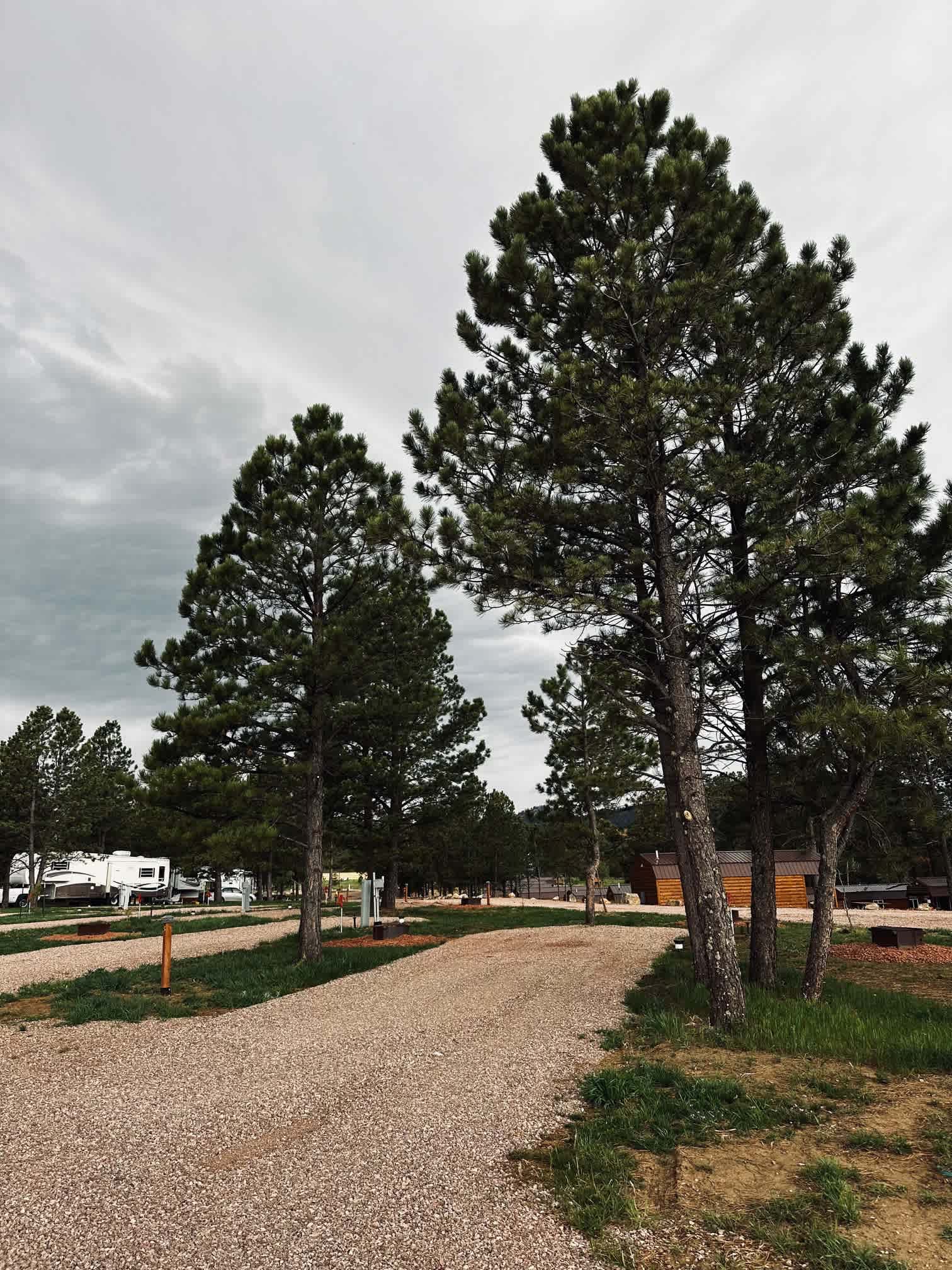Pine Haven Lodging