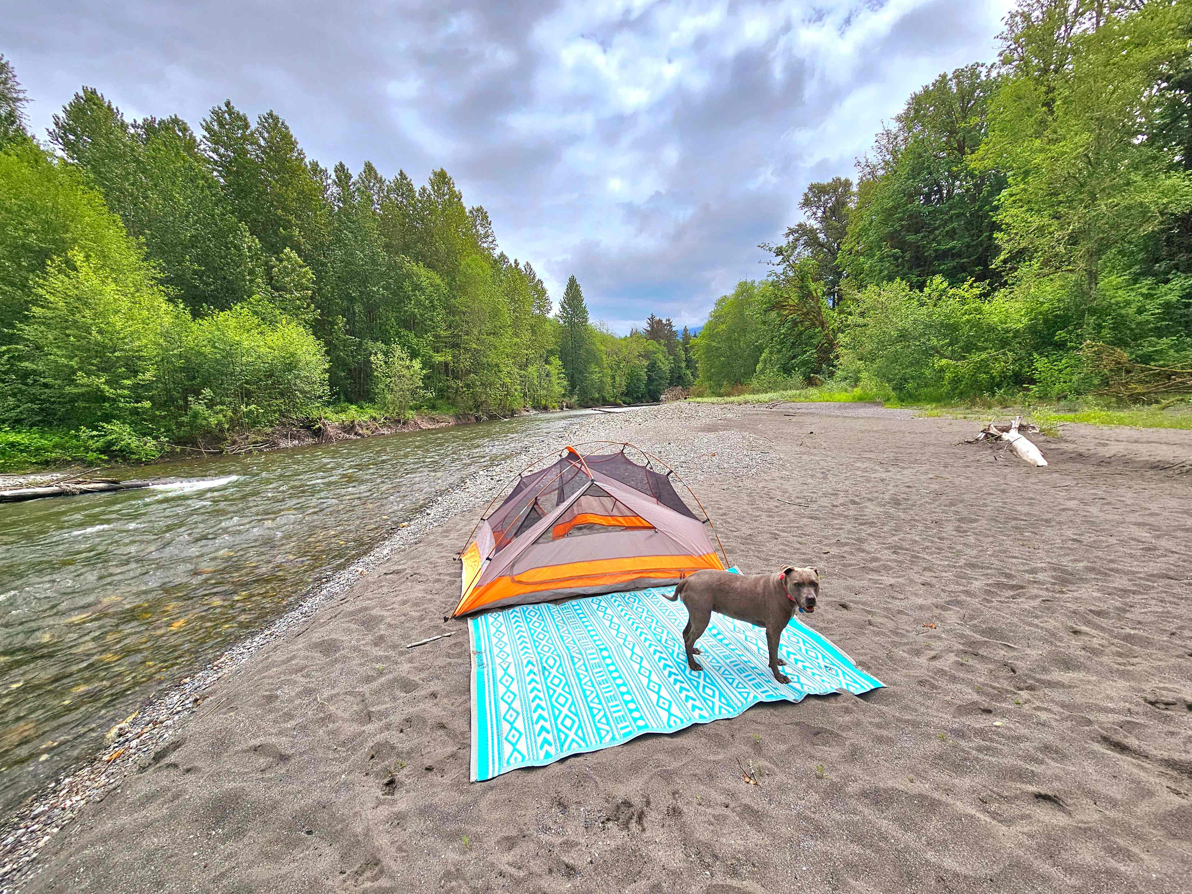 Camp We Nap