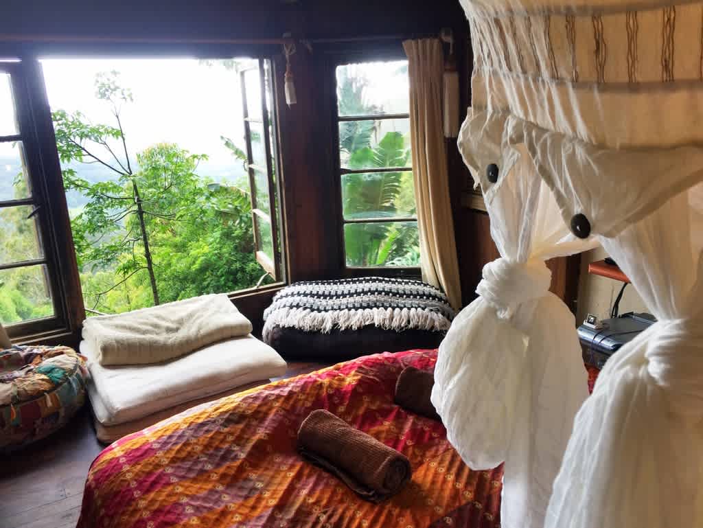 The Den of the Treehouse
