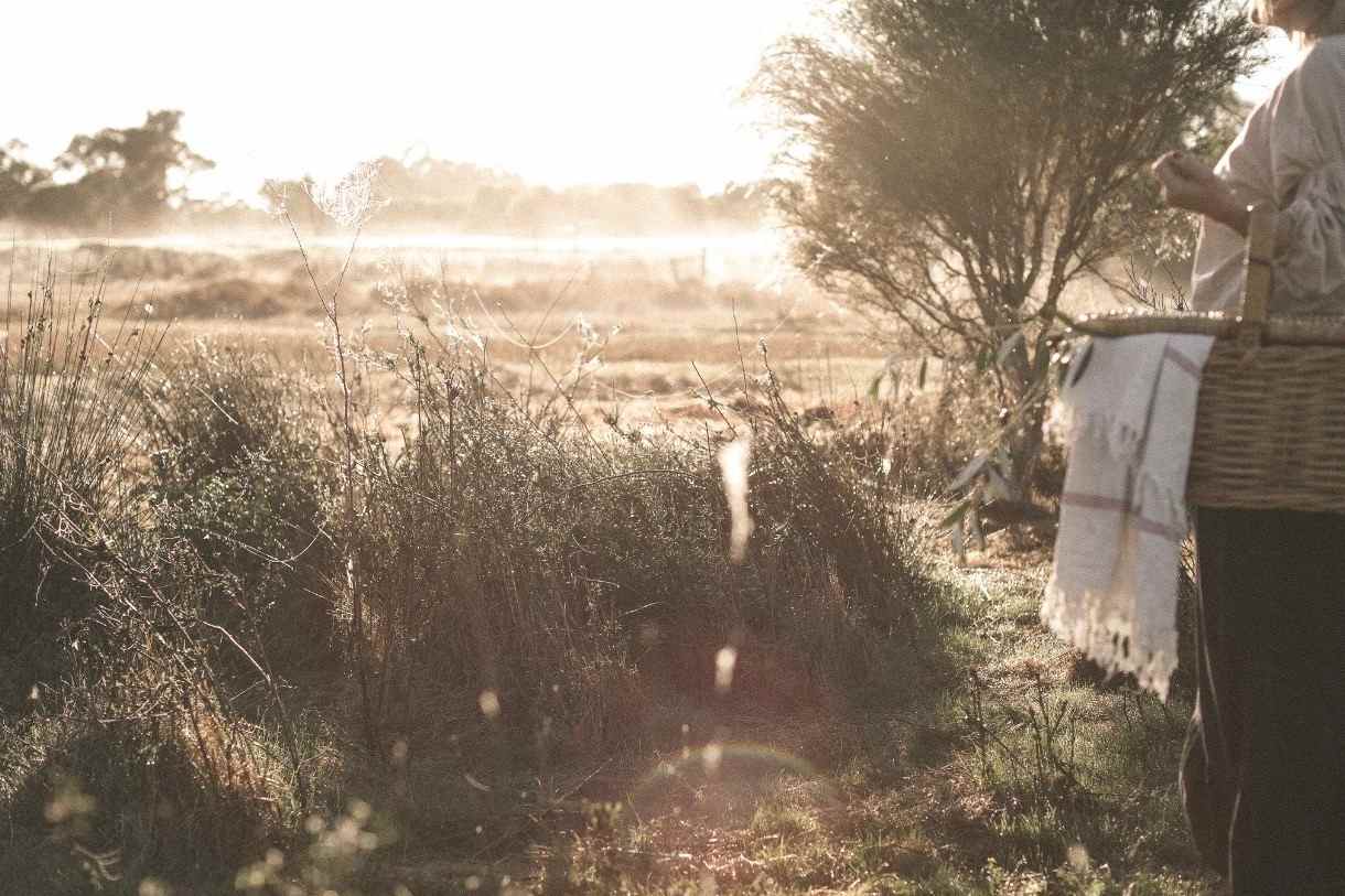 Coastal Farm Stay