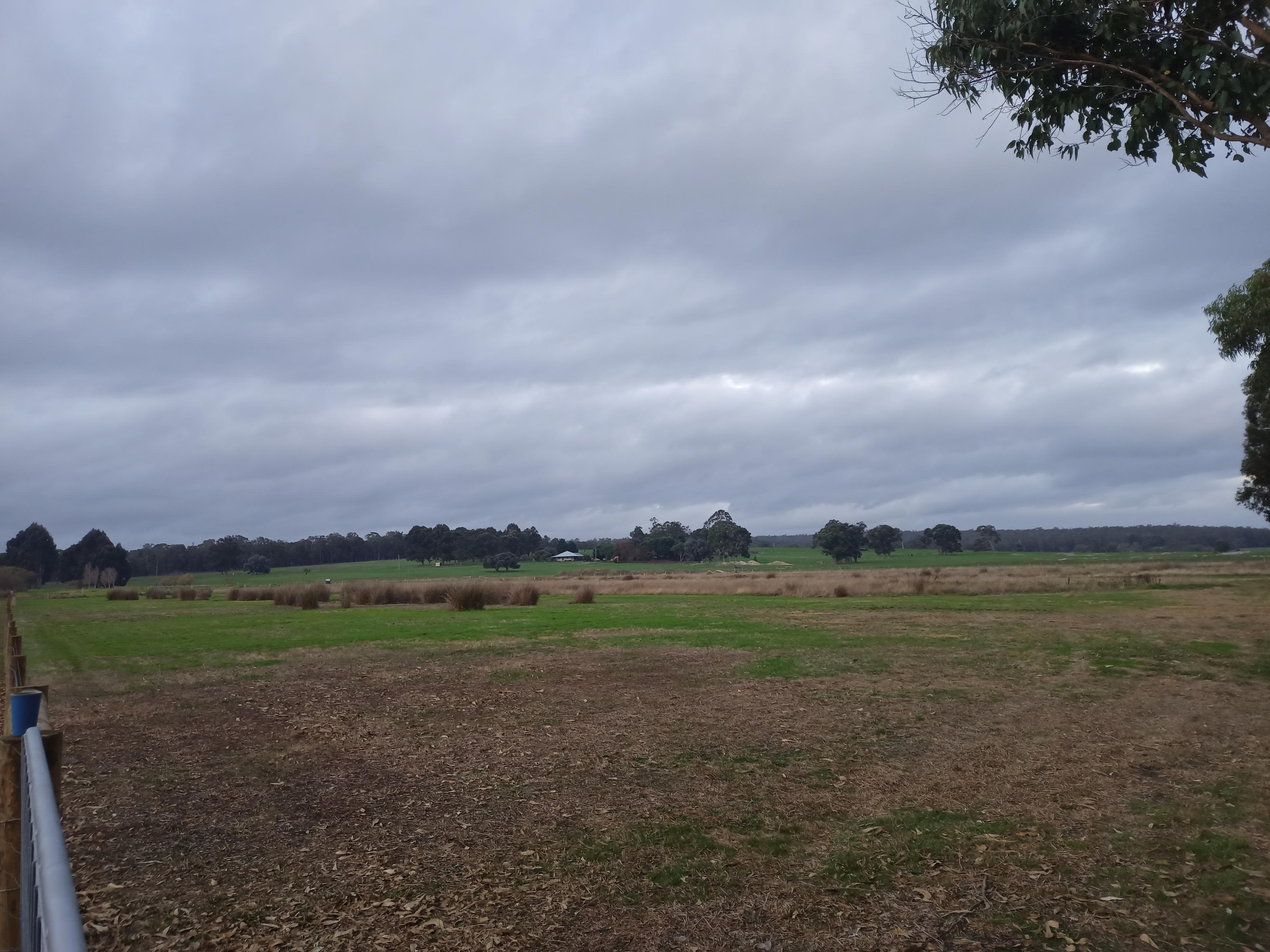 Peaceful Pastures