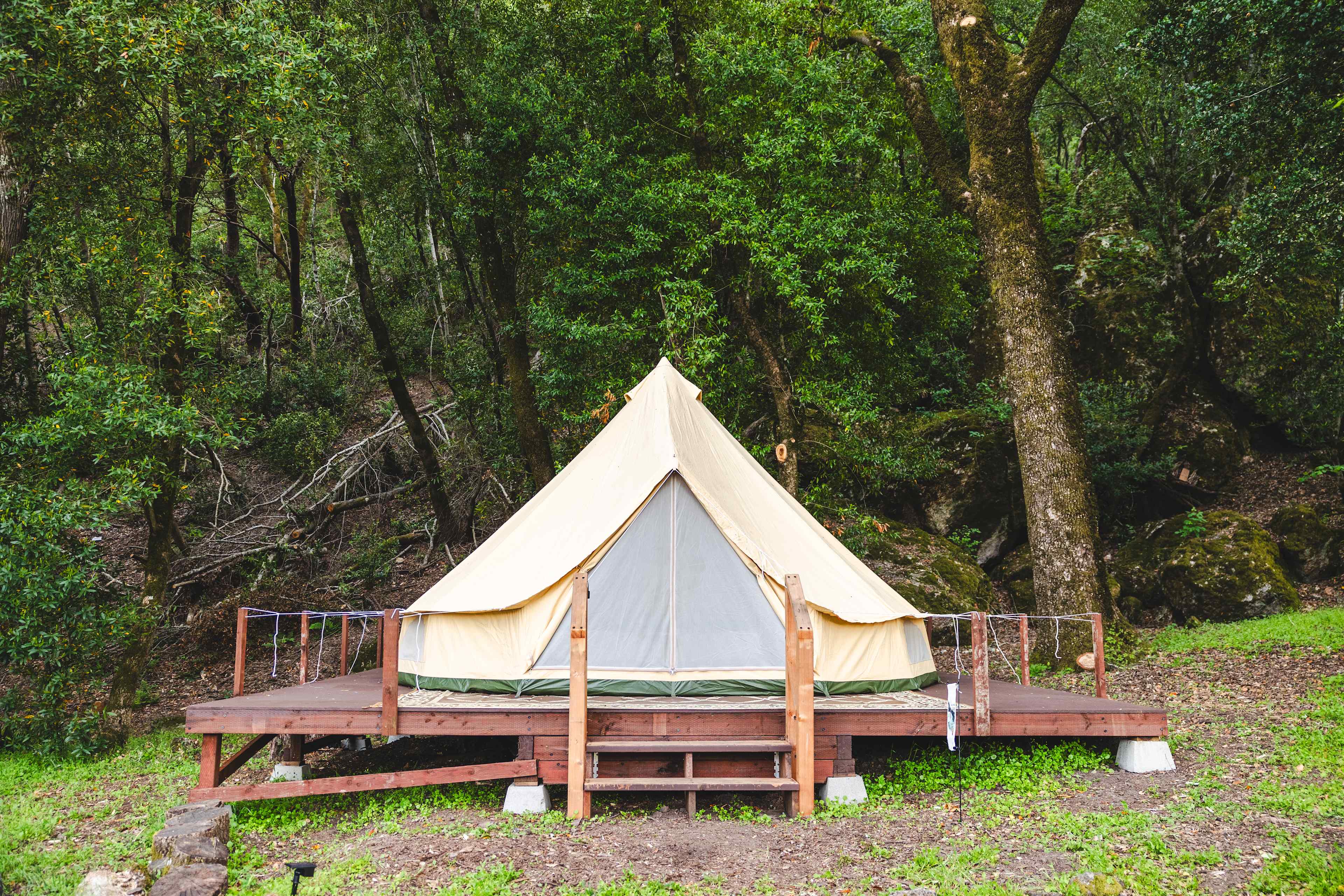 Best camping in Trione-Annadel State Park, CA 2026