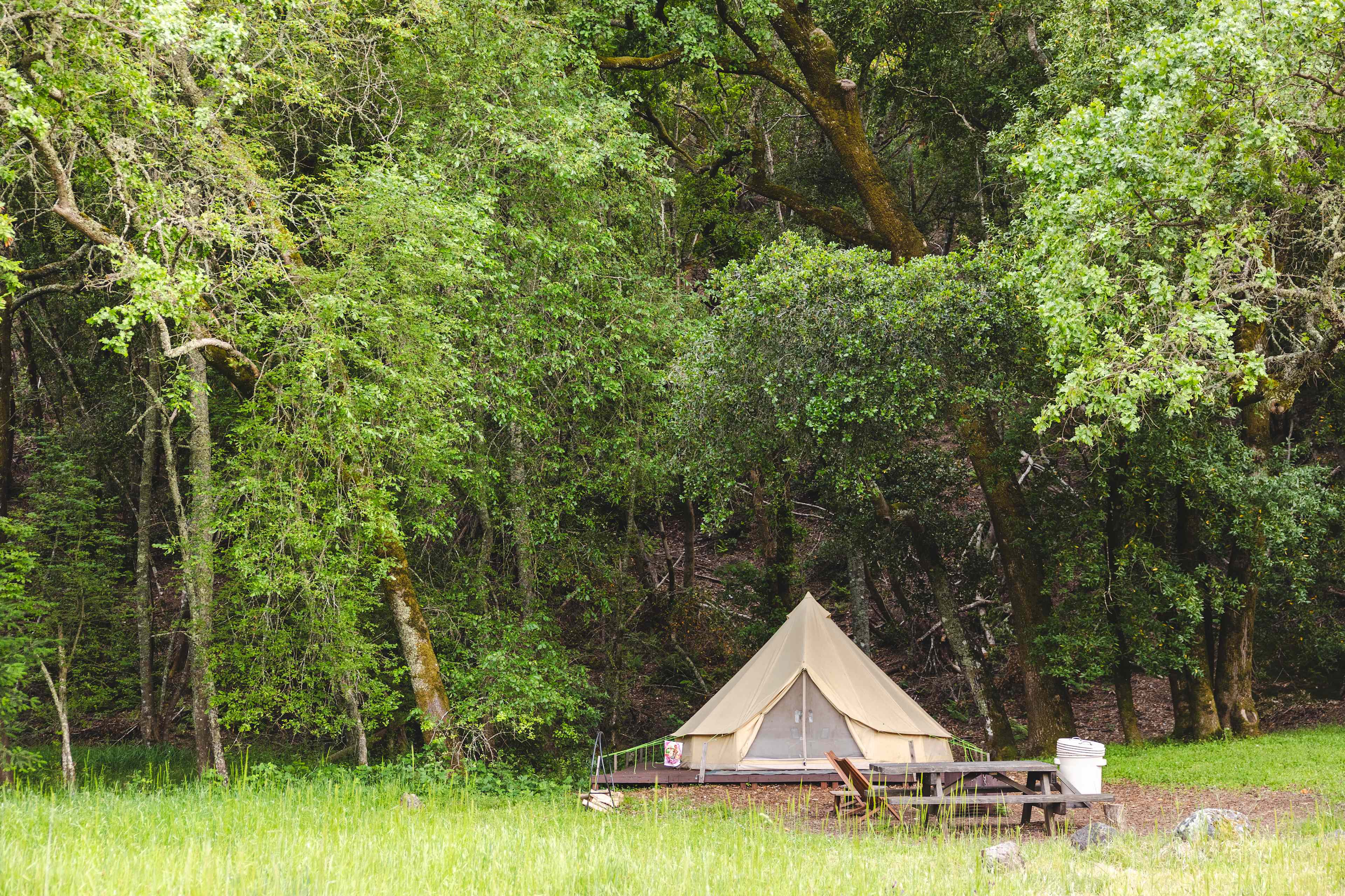 Best camping in Trione-Annadel State Park, CA 2026