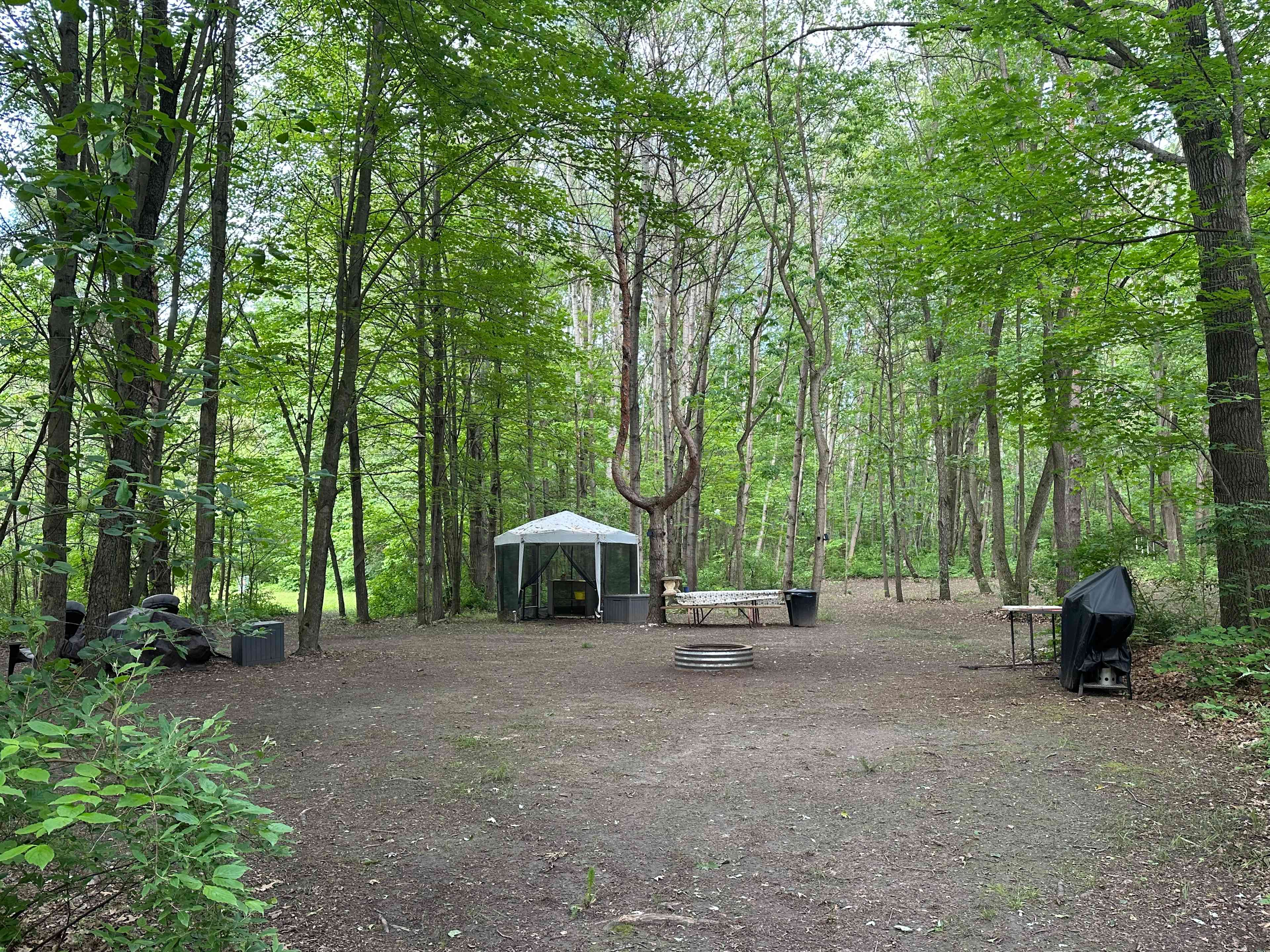 Sugar Shack Disc Golf Campground