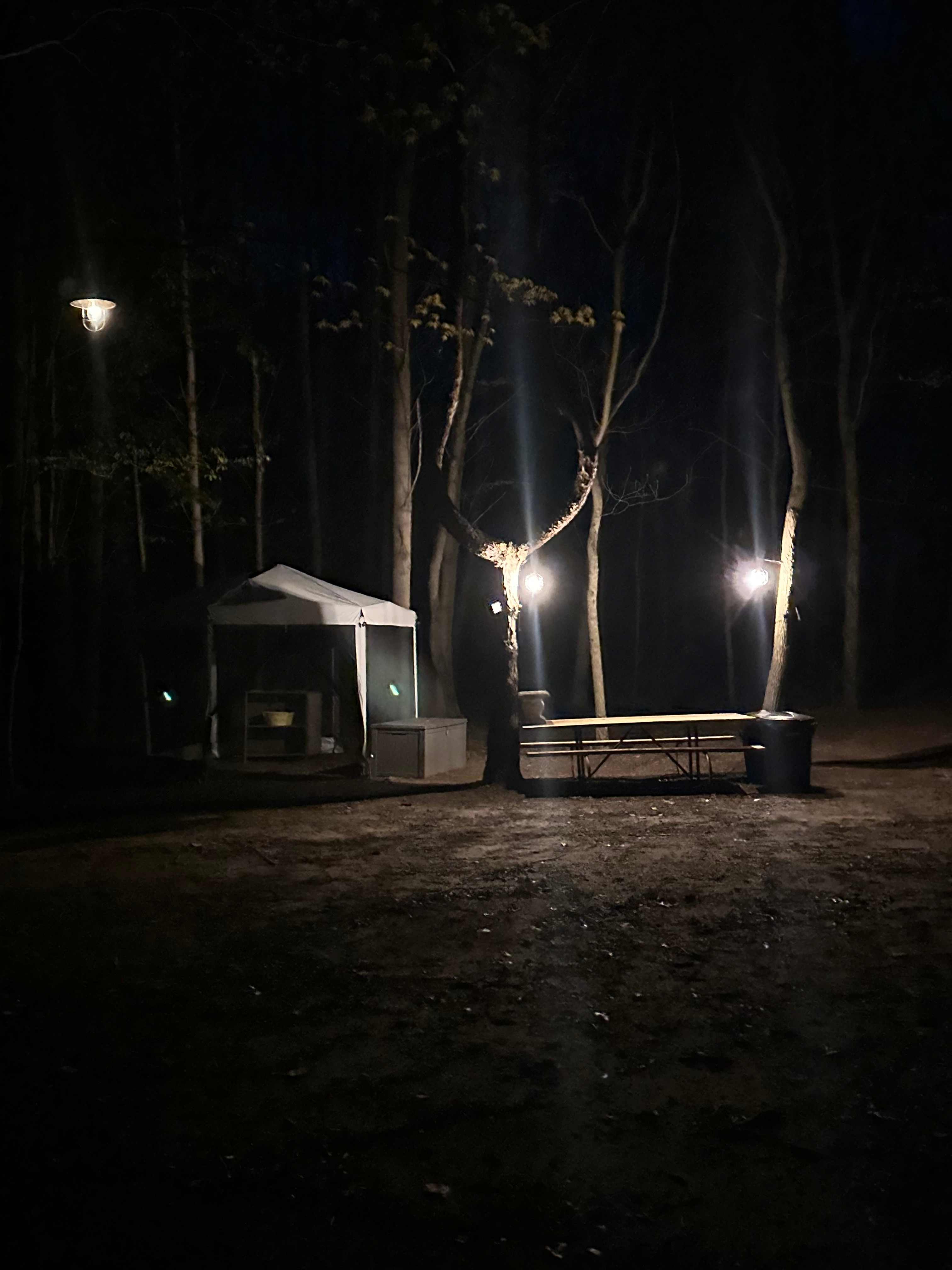 Sugar Shack Disc Golf Campground