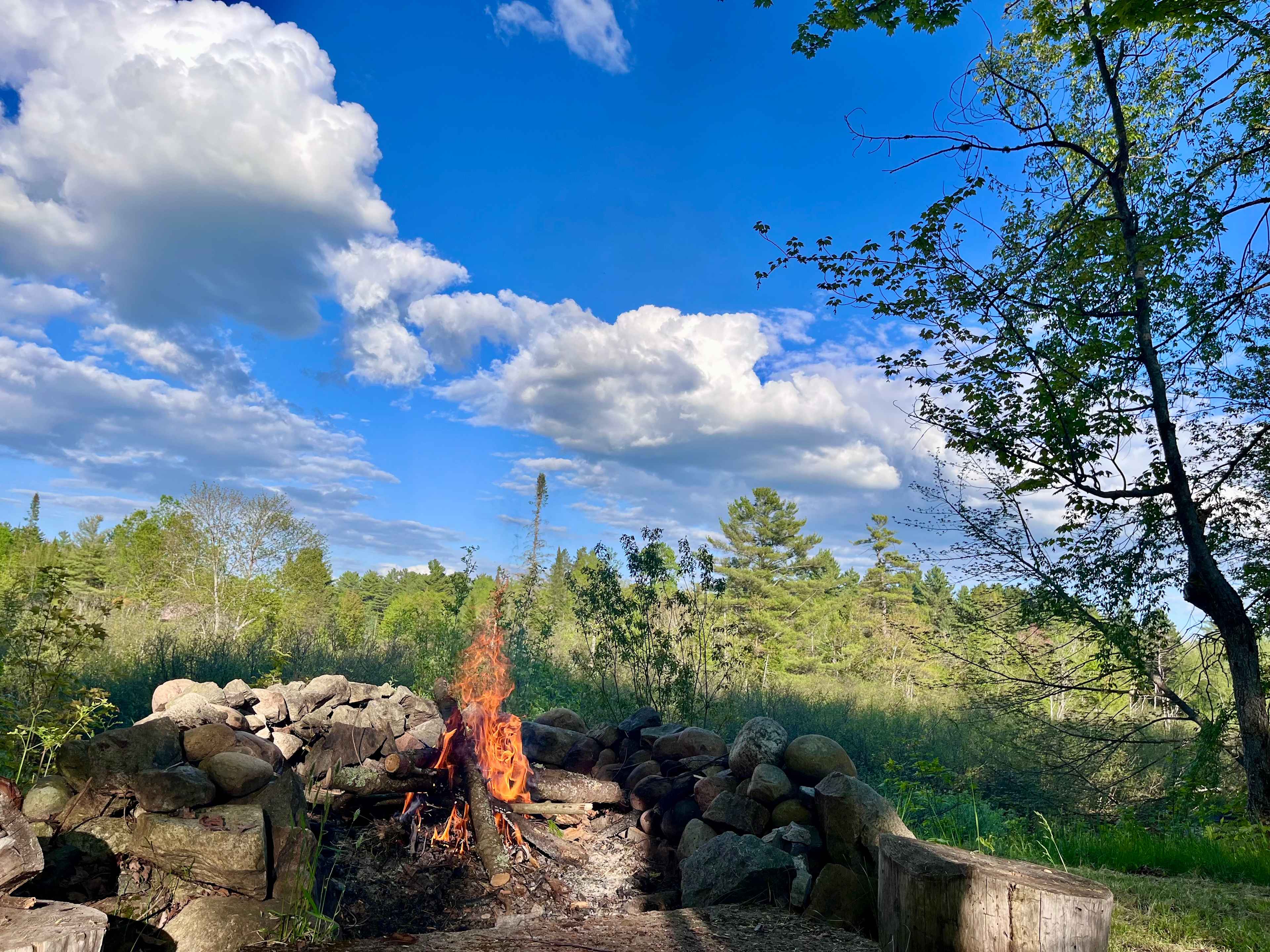 Weaver Acres