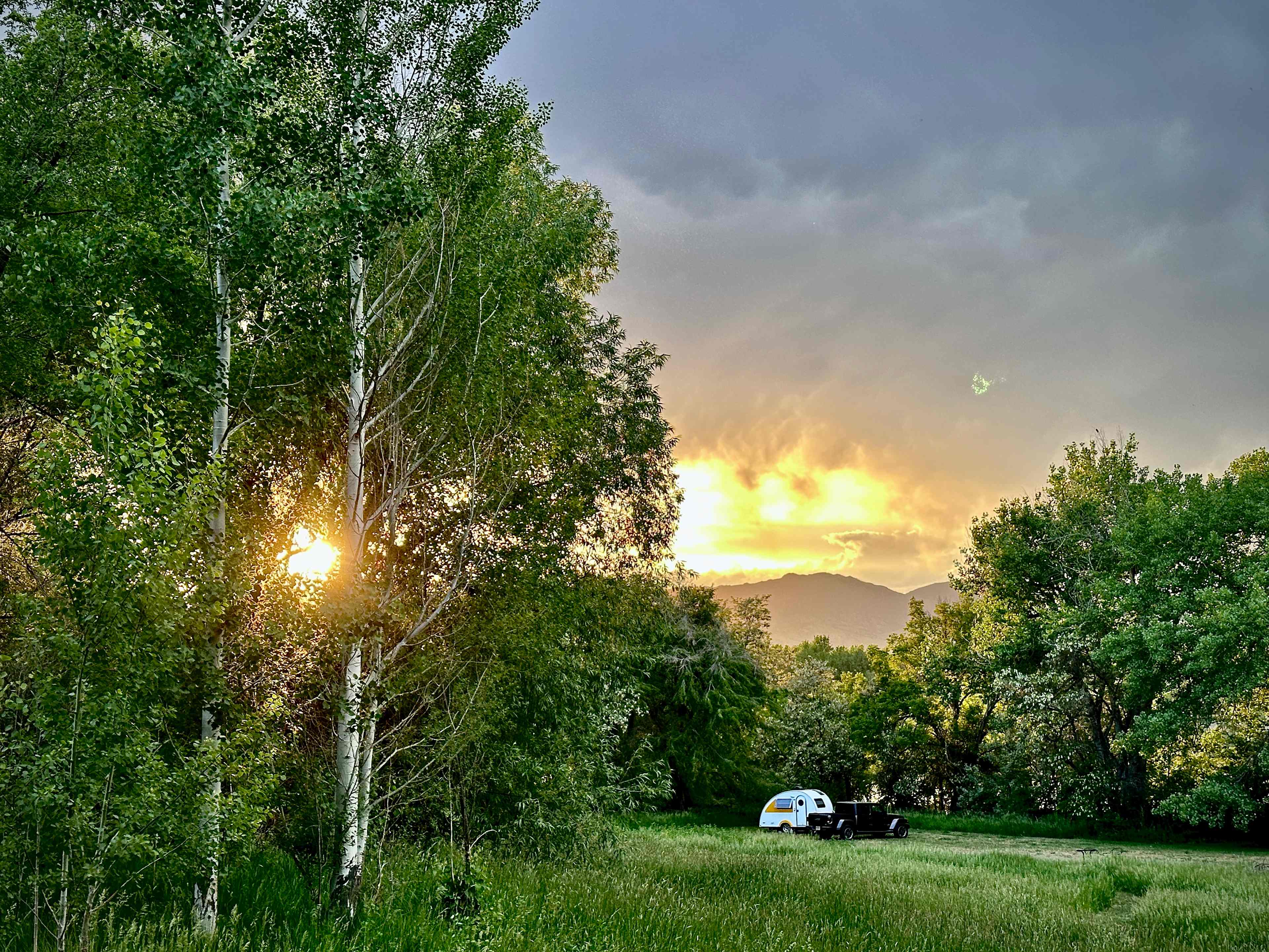 Boulder Chicken Ranch