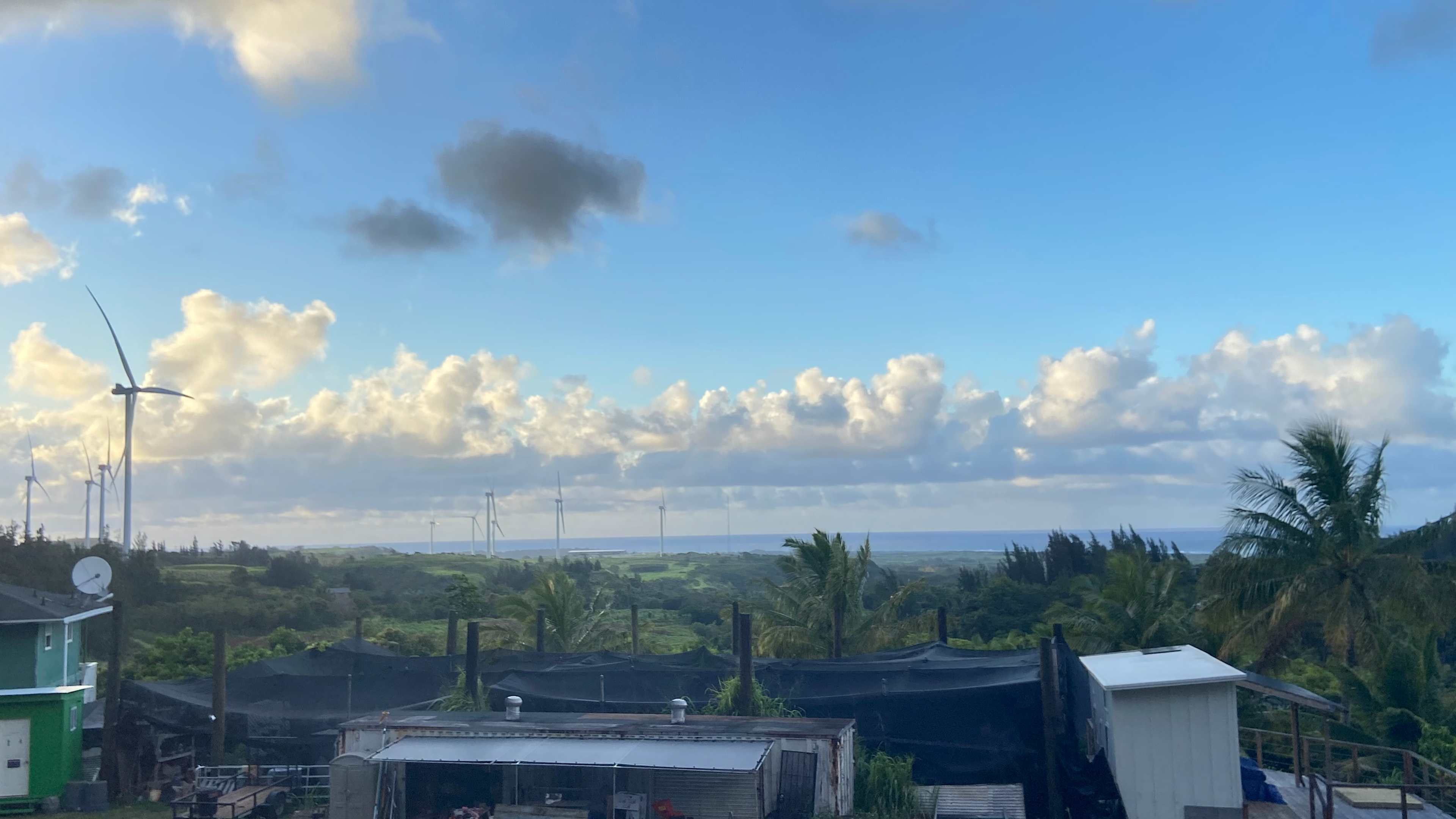 Oceanview Farm